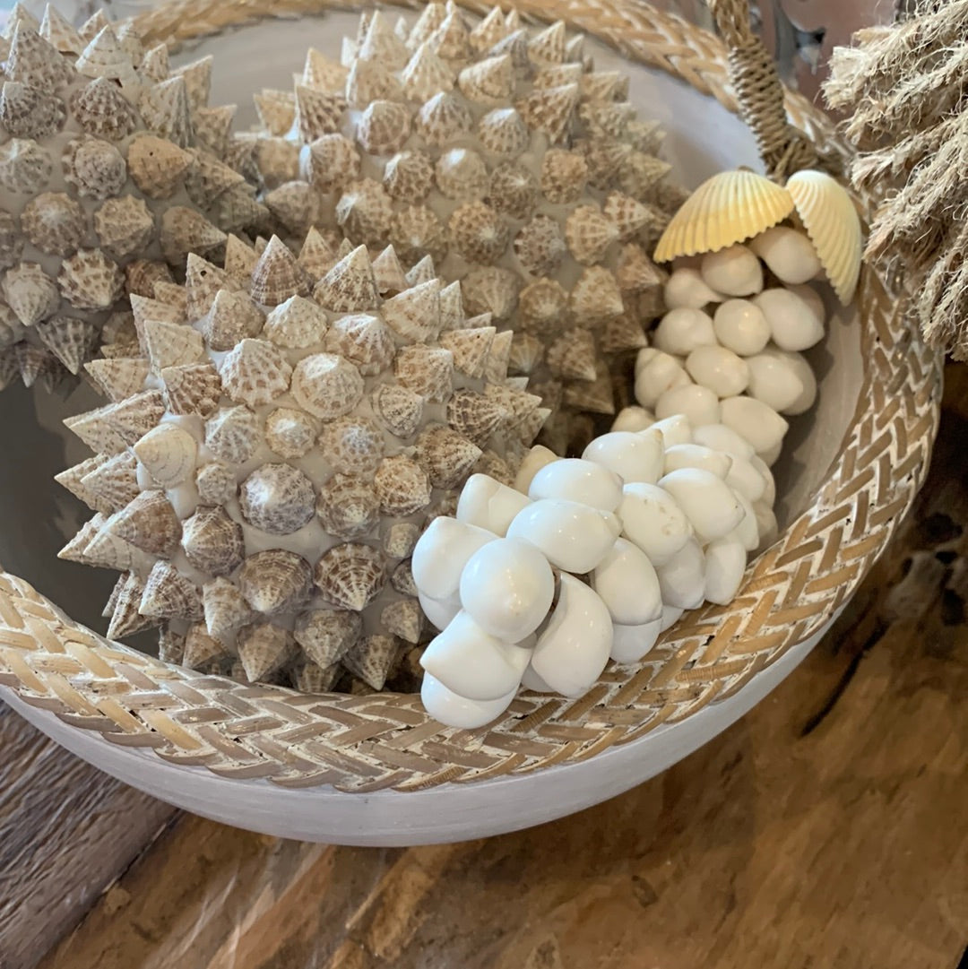 White shell cluster. Style 1 - Bali Beach Beyond