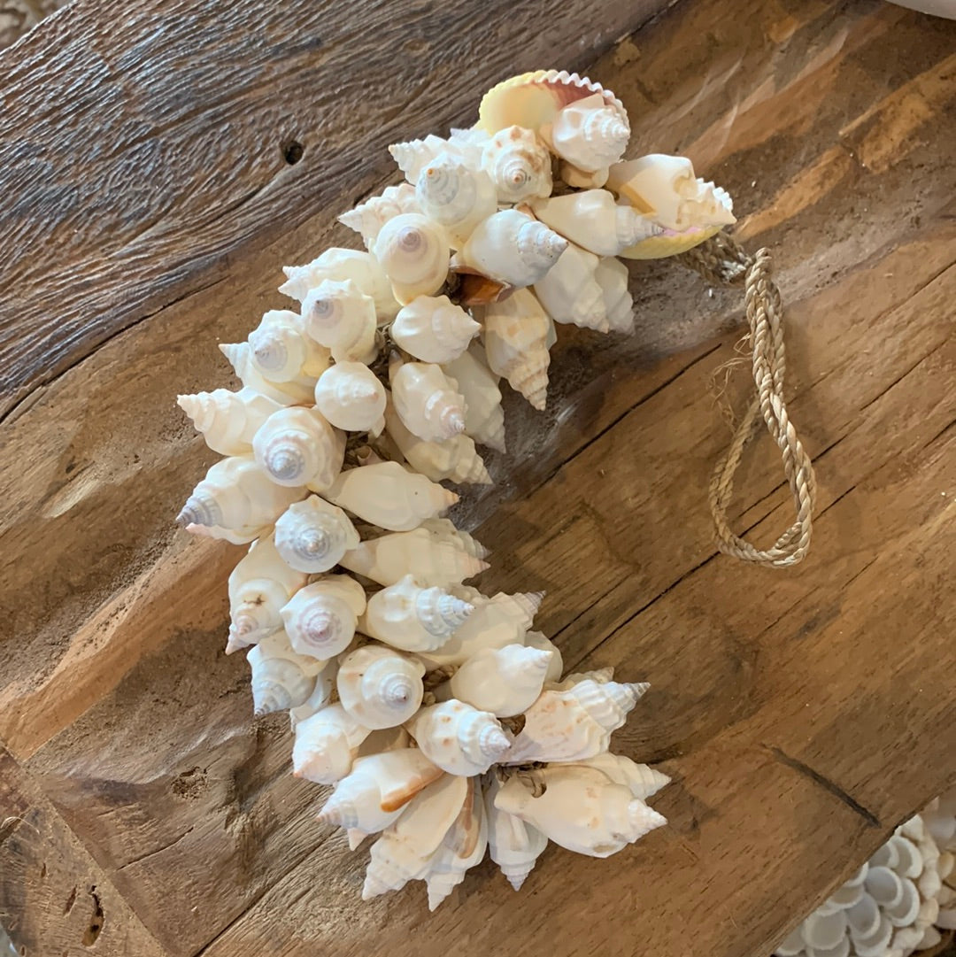 White shell cluster. Style 2 - Bali Beach Beyond