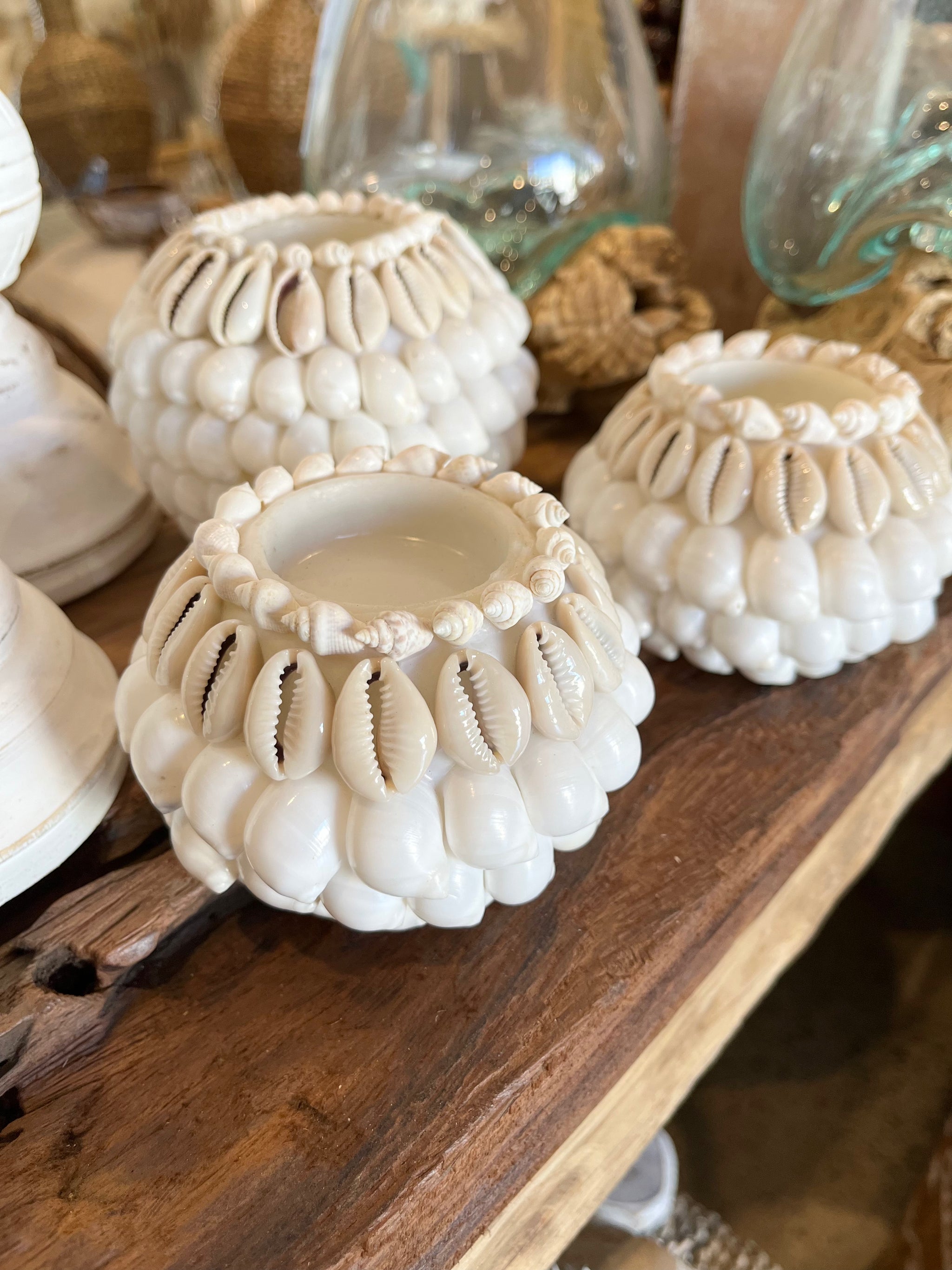Set 3 white / natural shell tealight / candle holder