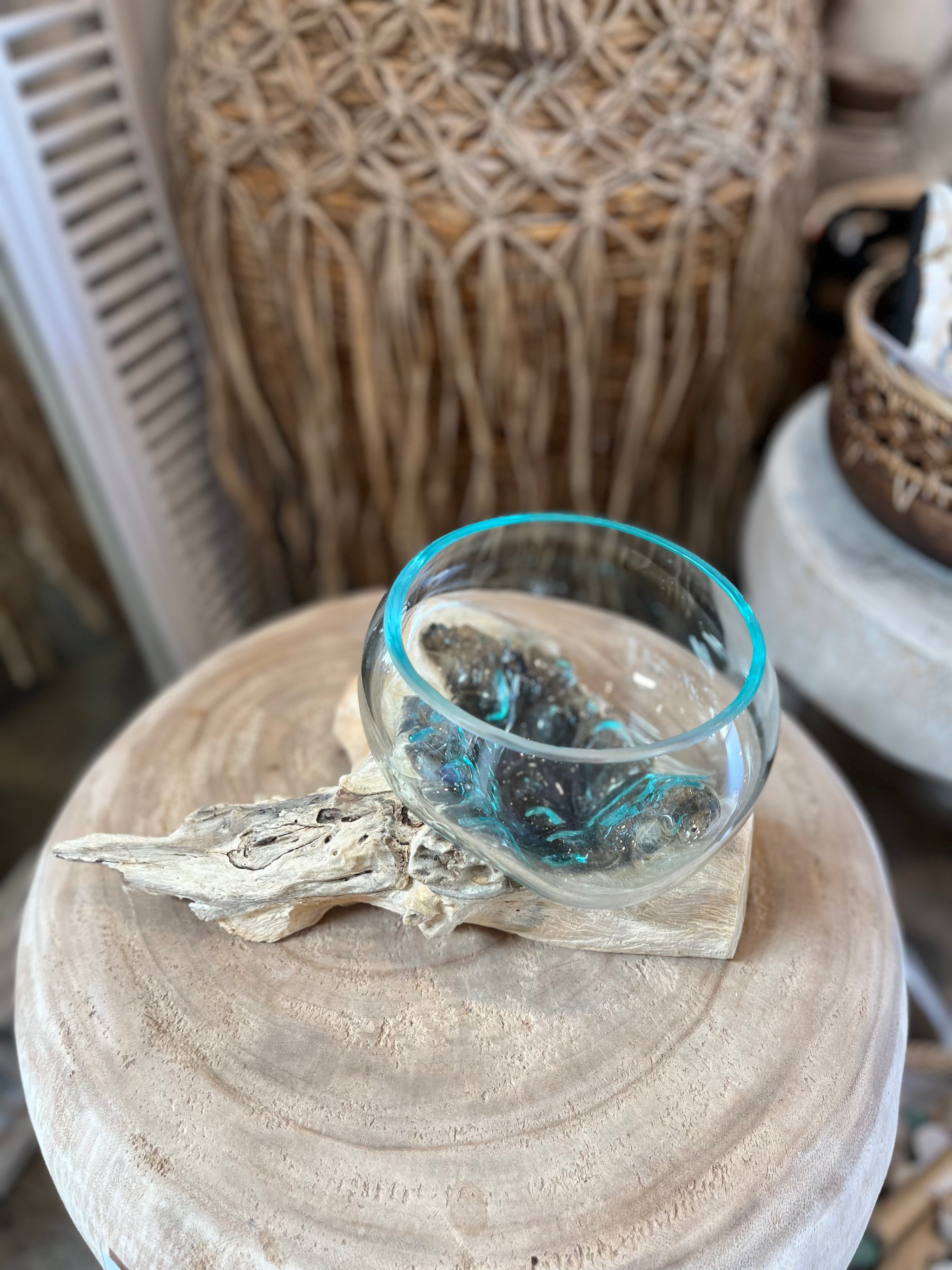 16cm aquarium / terranium. - Bali Beach Beyond