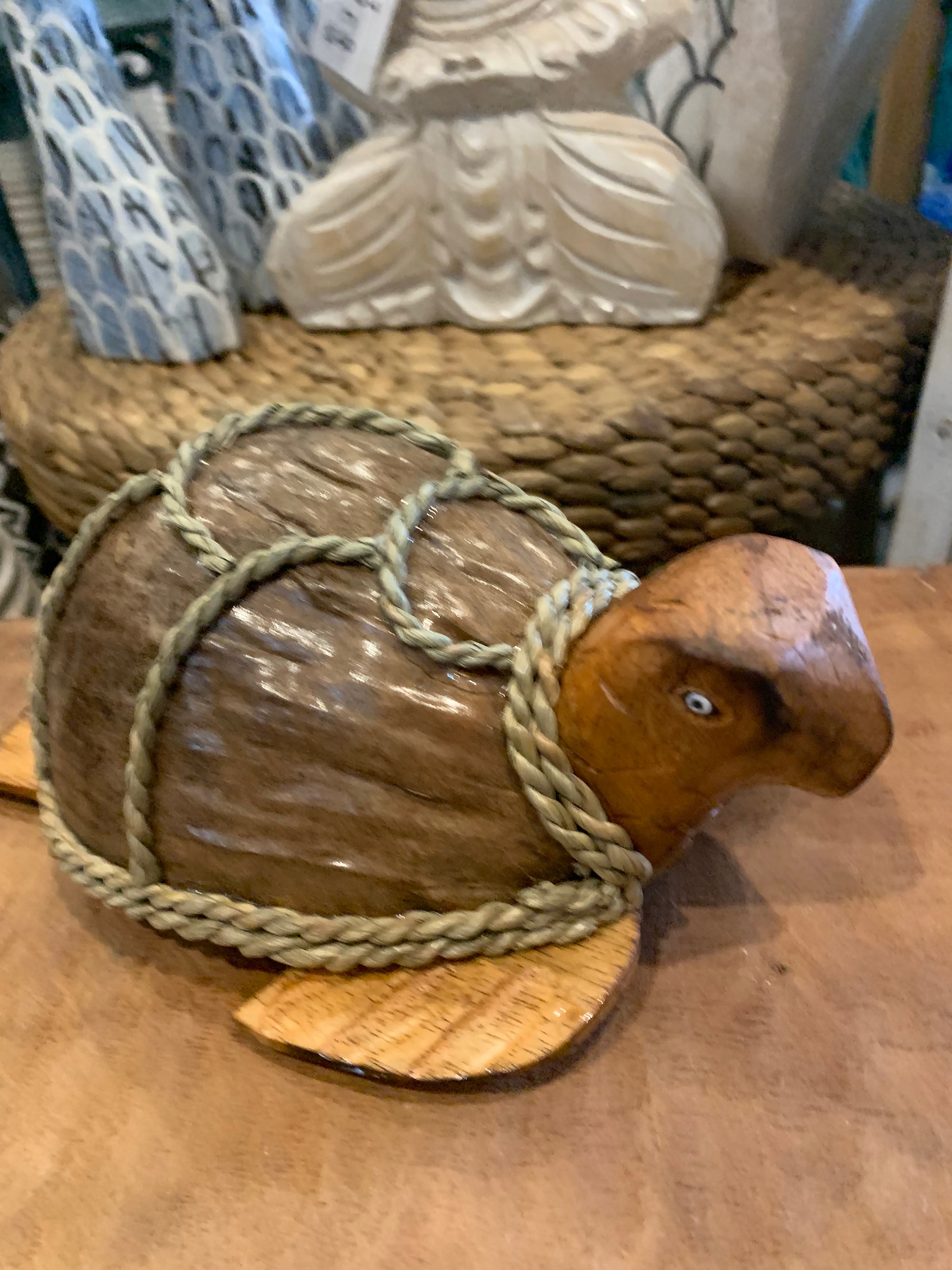 Coconut turtle. Brown