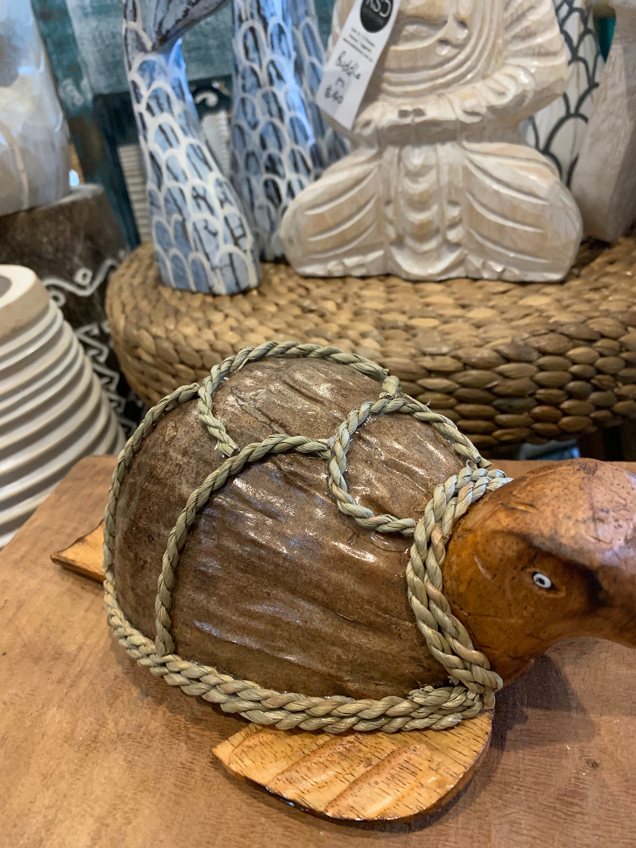 Coconut turtle. Brown