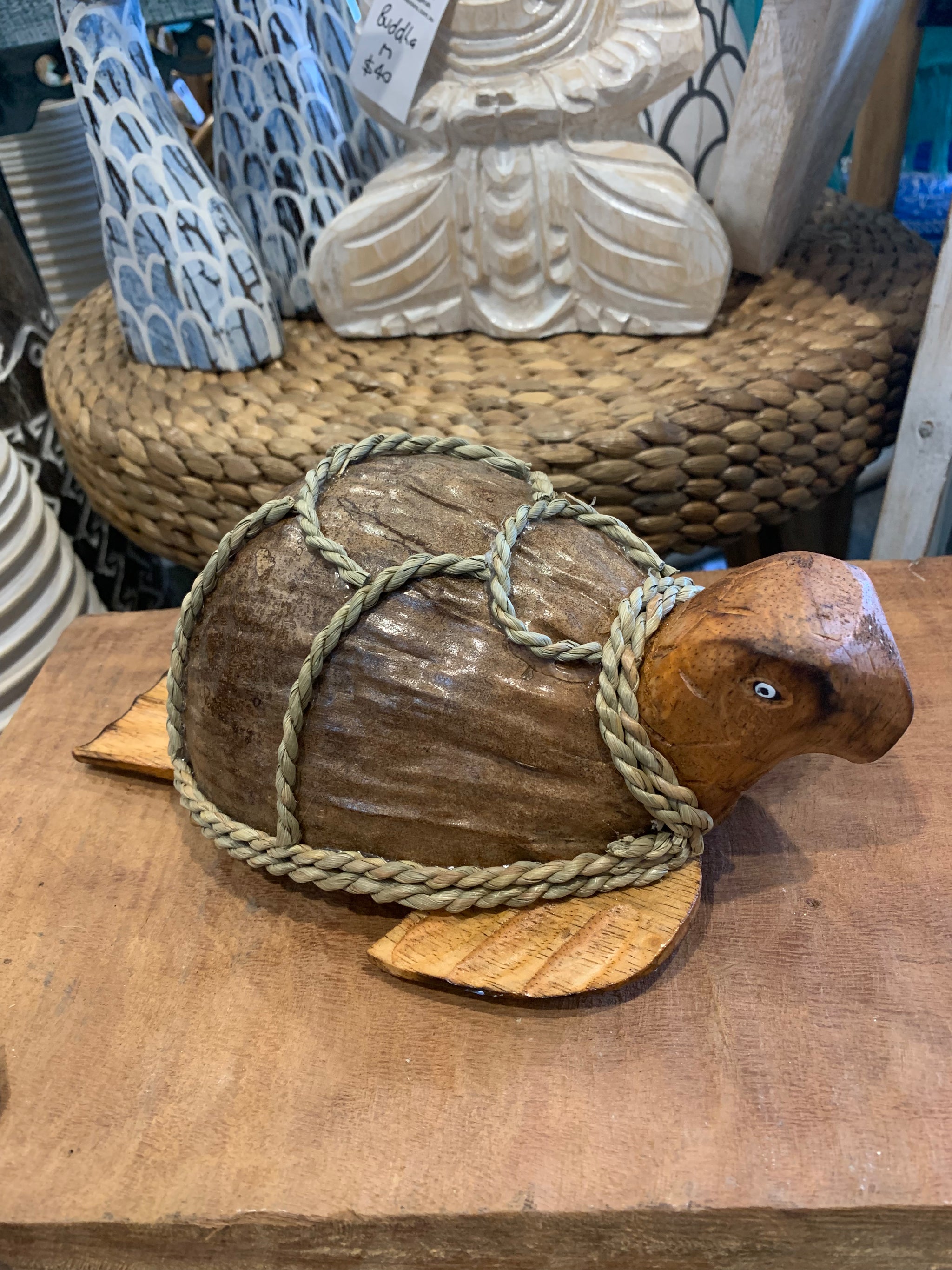 Coconut turtle. Brown