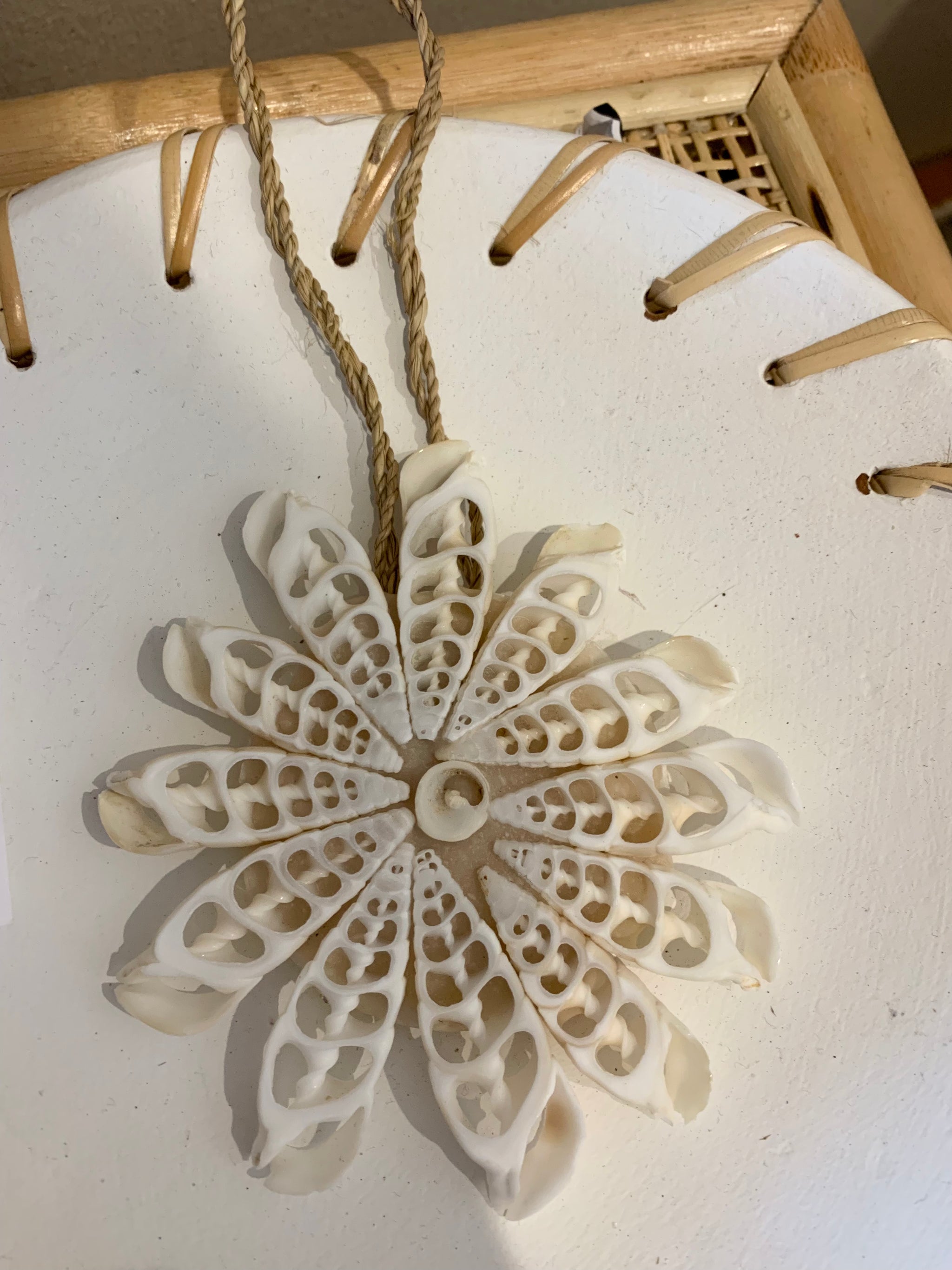 White decorative shell decoration. 12cm - Bali Beach Beyond
