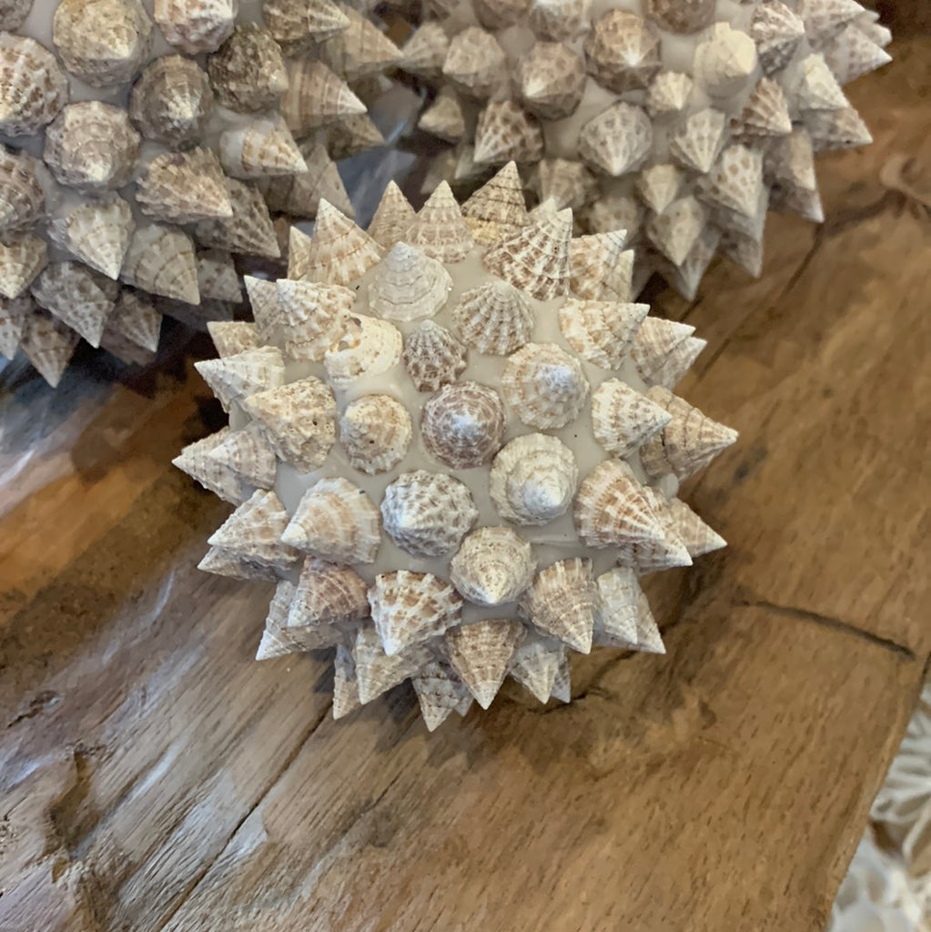 Set 3 shell balls. Pointy shell – Bali Beach Beyond