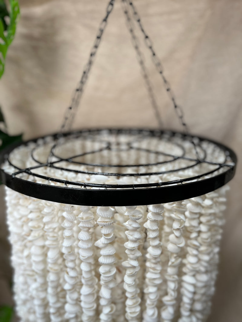 Shell Hanging / light pendant / Shell pendant. Chandelier. 40cm - Bali Beach Beyond