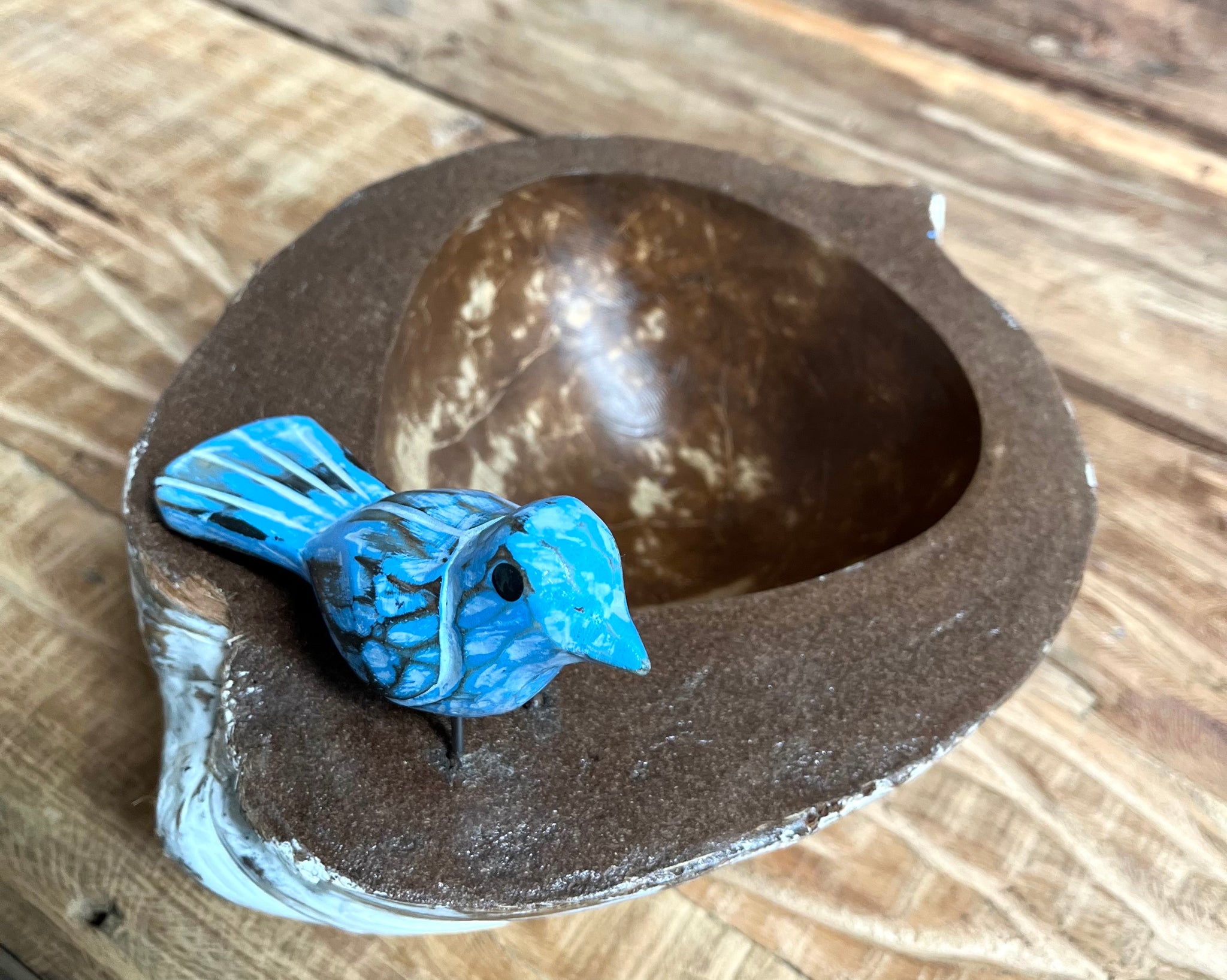 Coconut platter / bowl. Blue bird