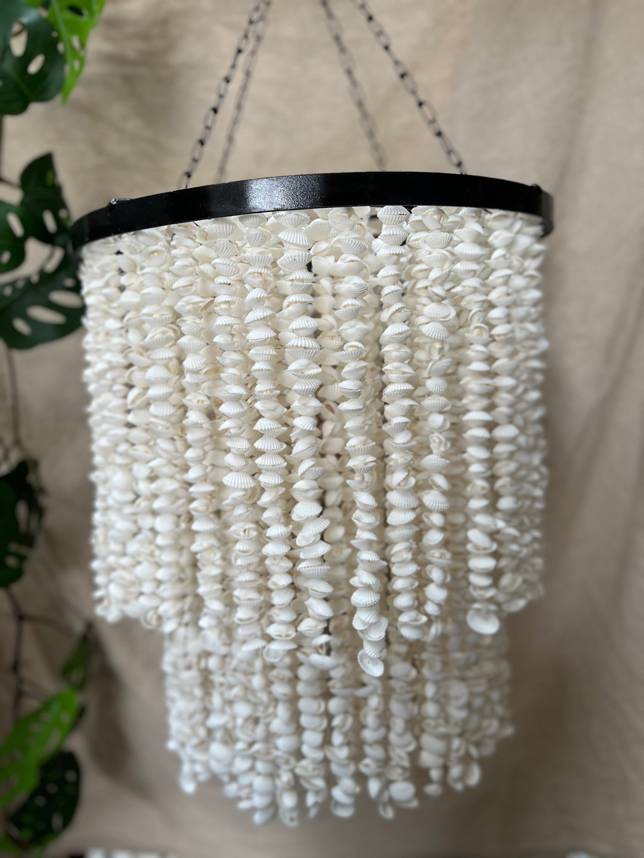 Shell Hanging / light pendant / Shell pendant. Chandelier. 40cm - Bali Beach Beyond