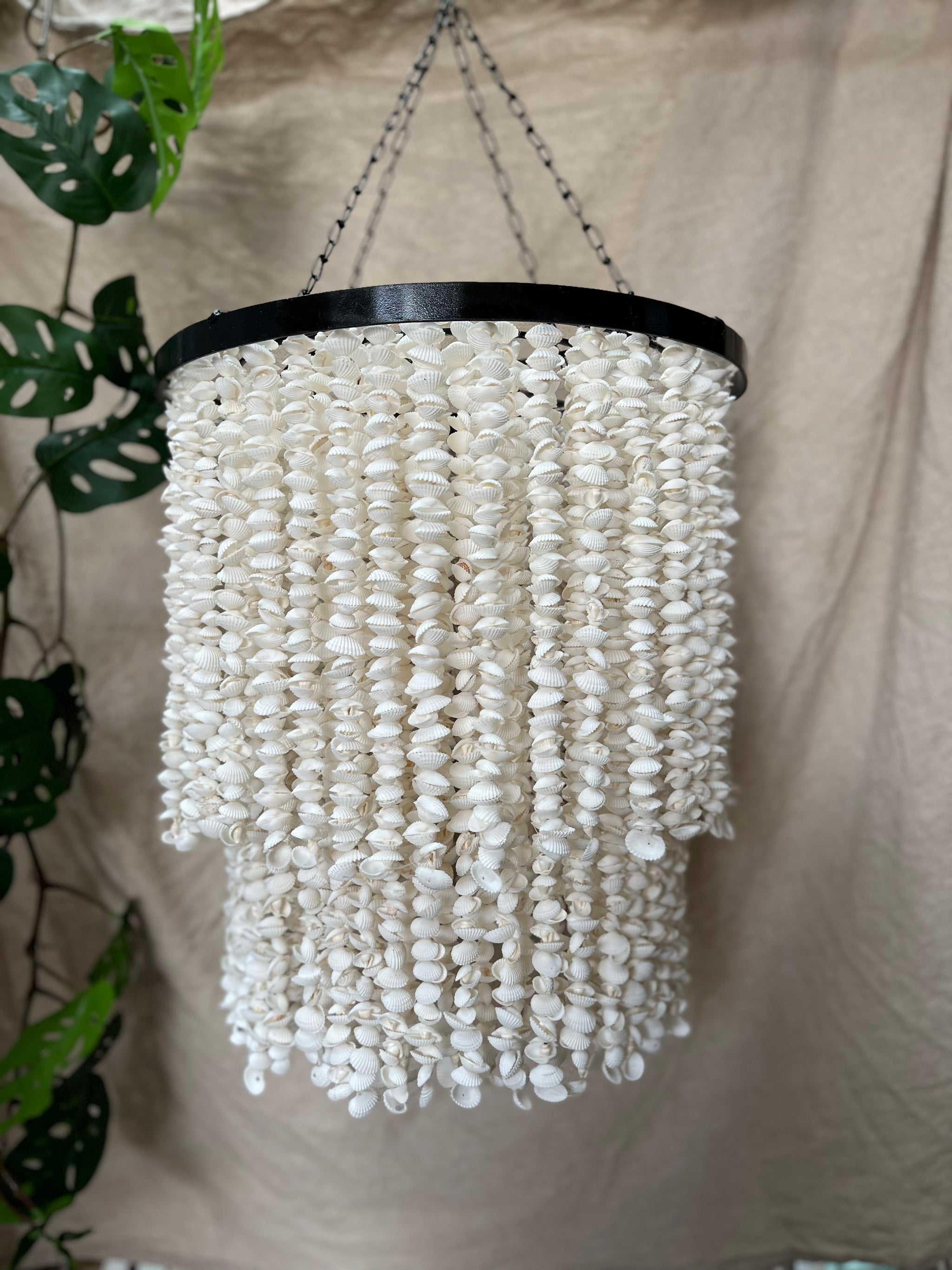 Shell Hanging / light pendant / Shell pendant. Chandelier. 60cm - Bali Beach Beyond