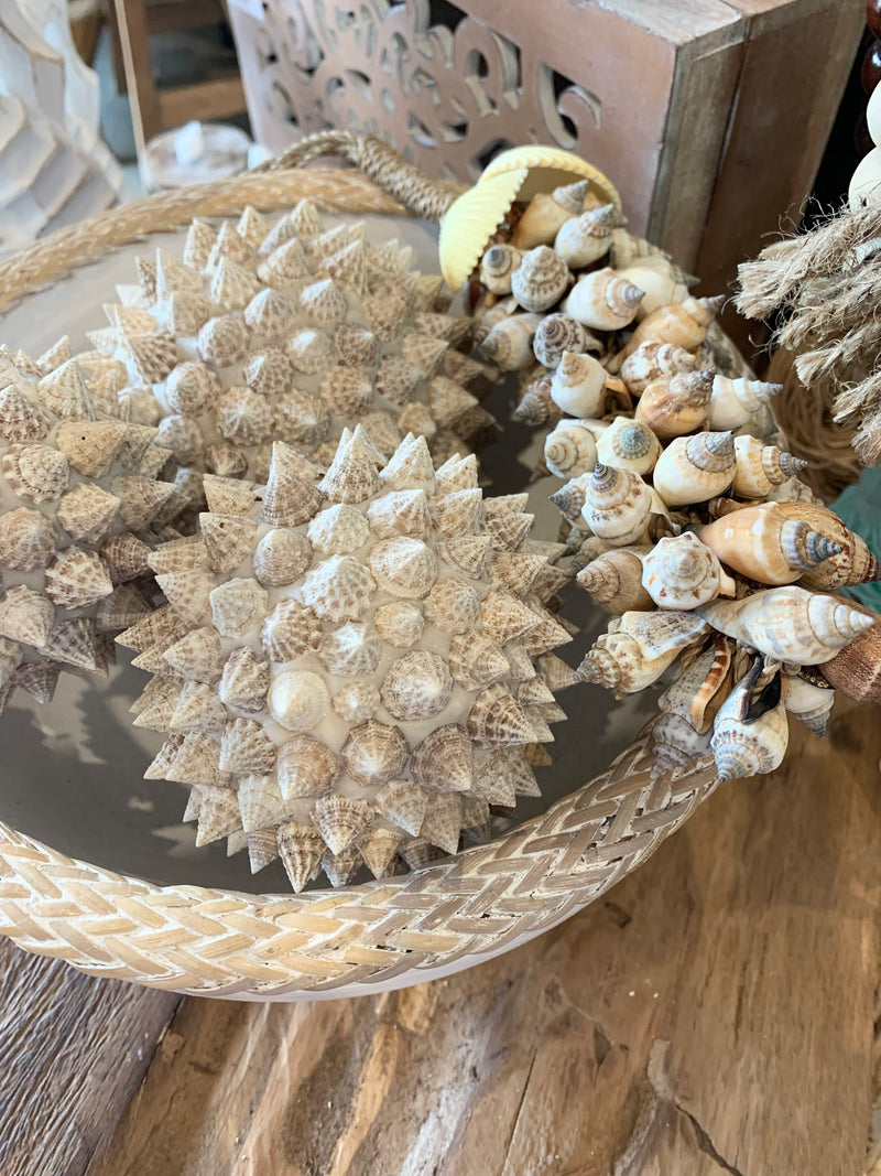 Natural shell cluster. Style 1