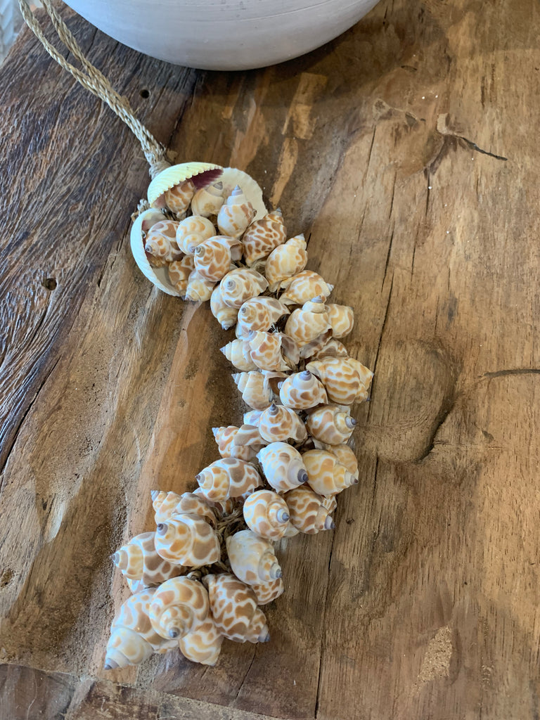 Natural shell cluster. Style 3 – Bali Beach Beyond