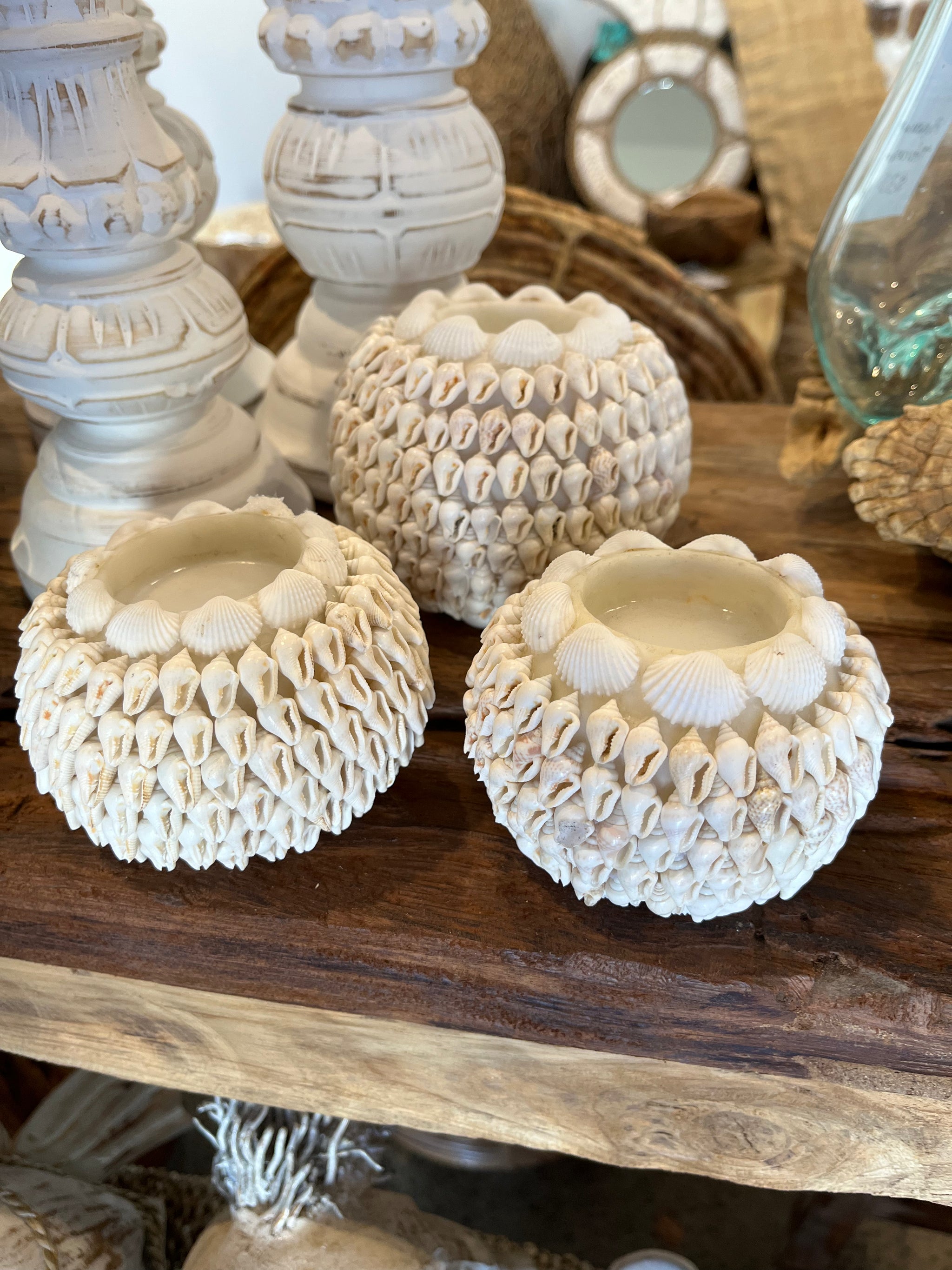 Set 3 natural shell tealight / candle holder