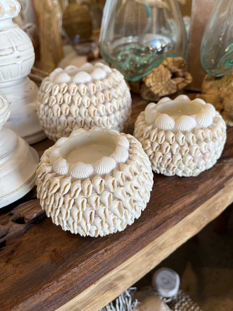 Set 3 natural shell tealight / candle holder