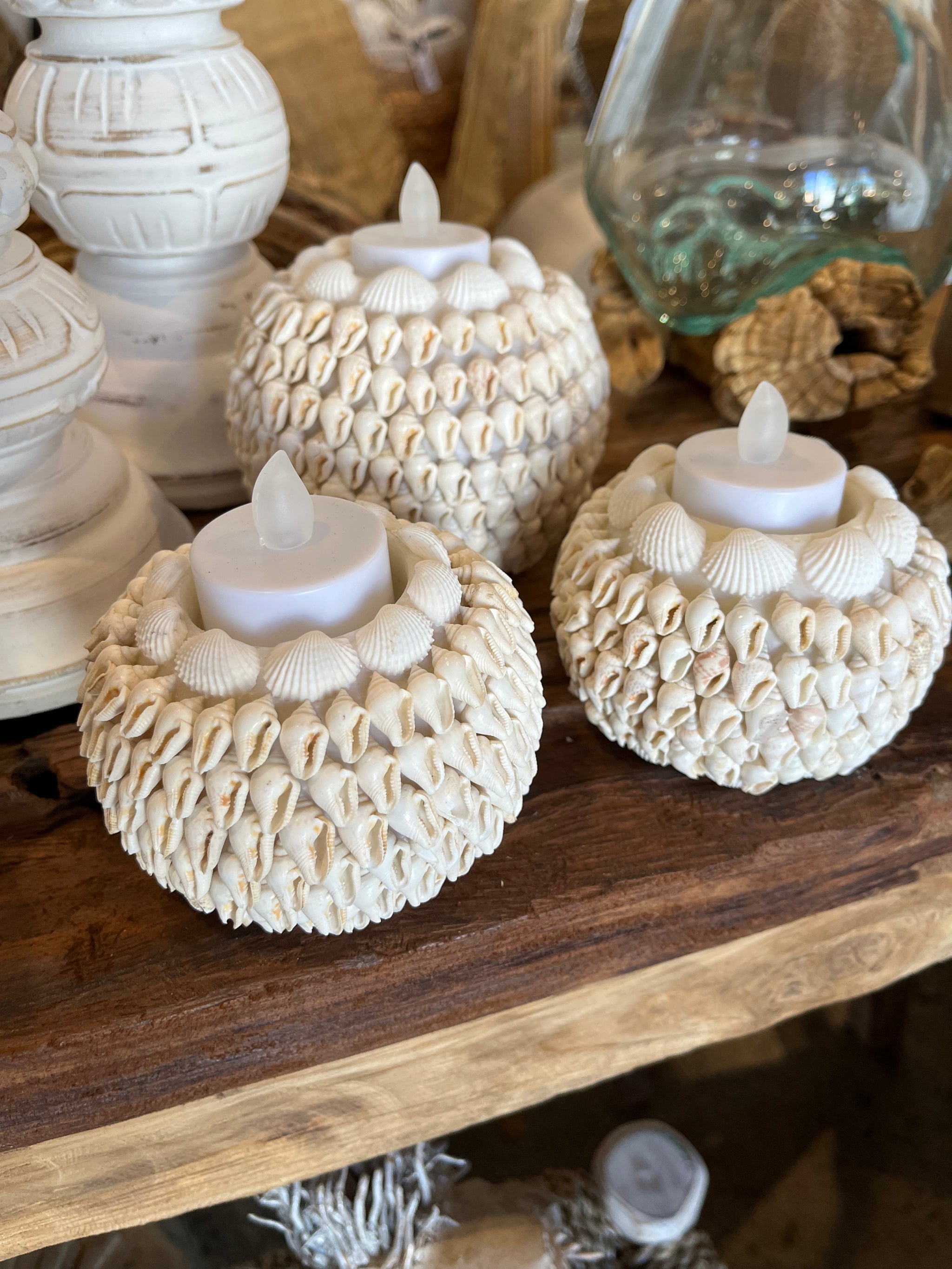 Set 3 natural shell tealight / candle holder