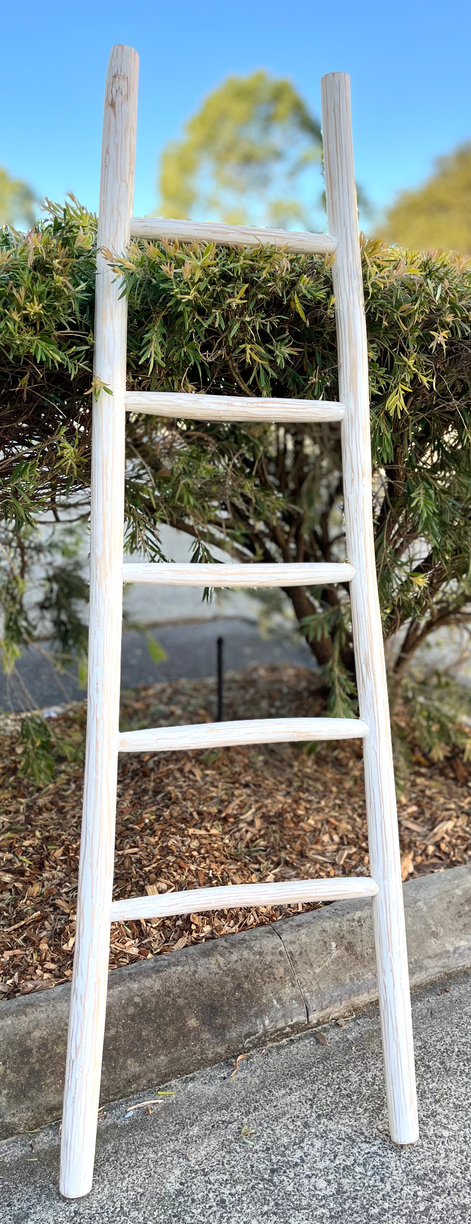 Angled white timber ladder