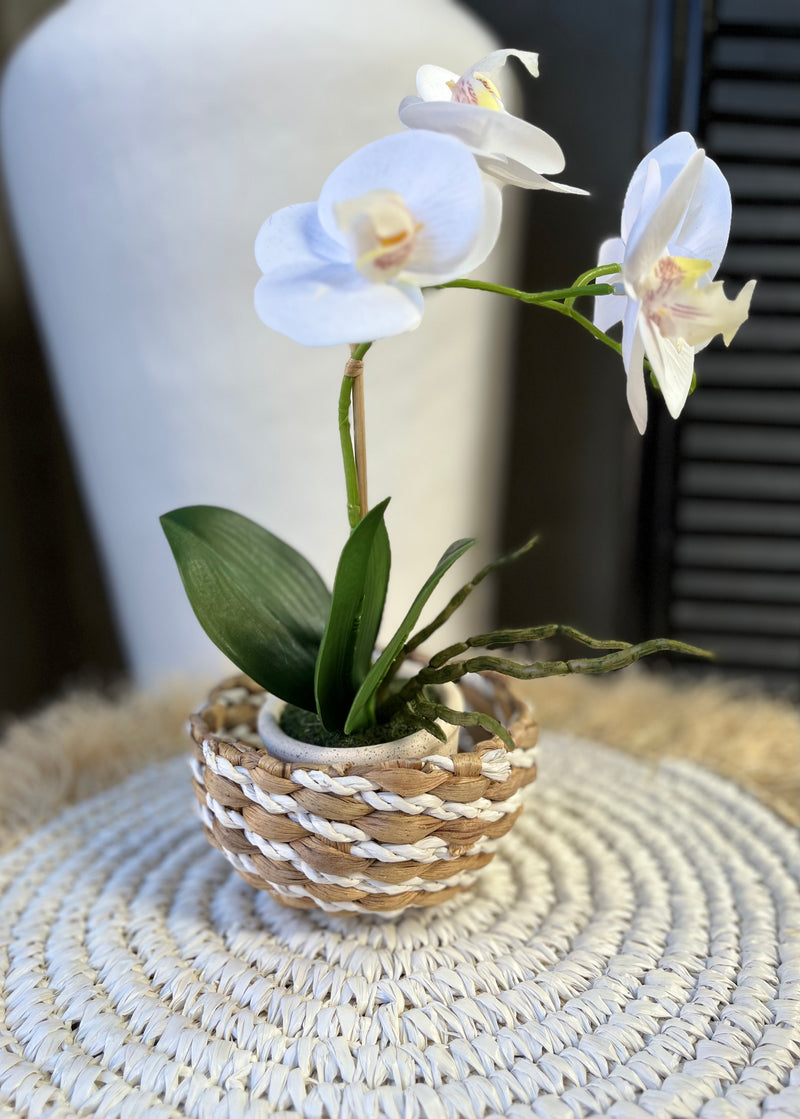 Woven basket - natural and white