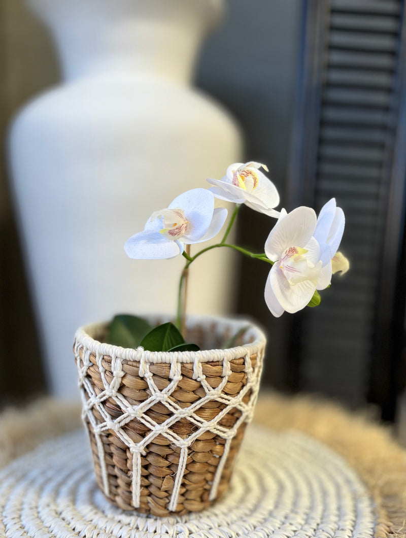 Woven basket - macrame around sides