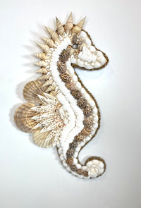 Shell seahorse hanging. Larger shells