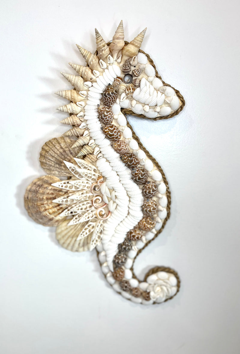 Shell seahorse hanging. Larger shells