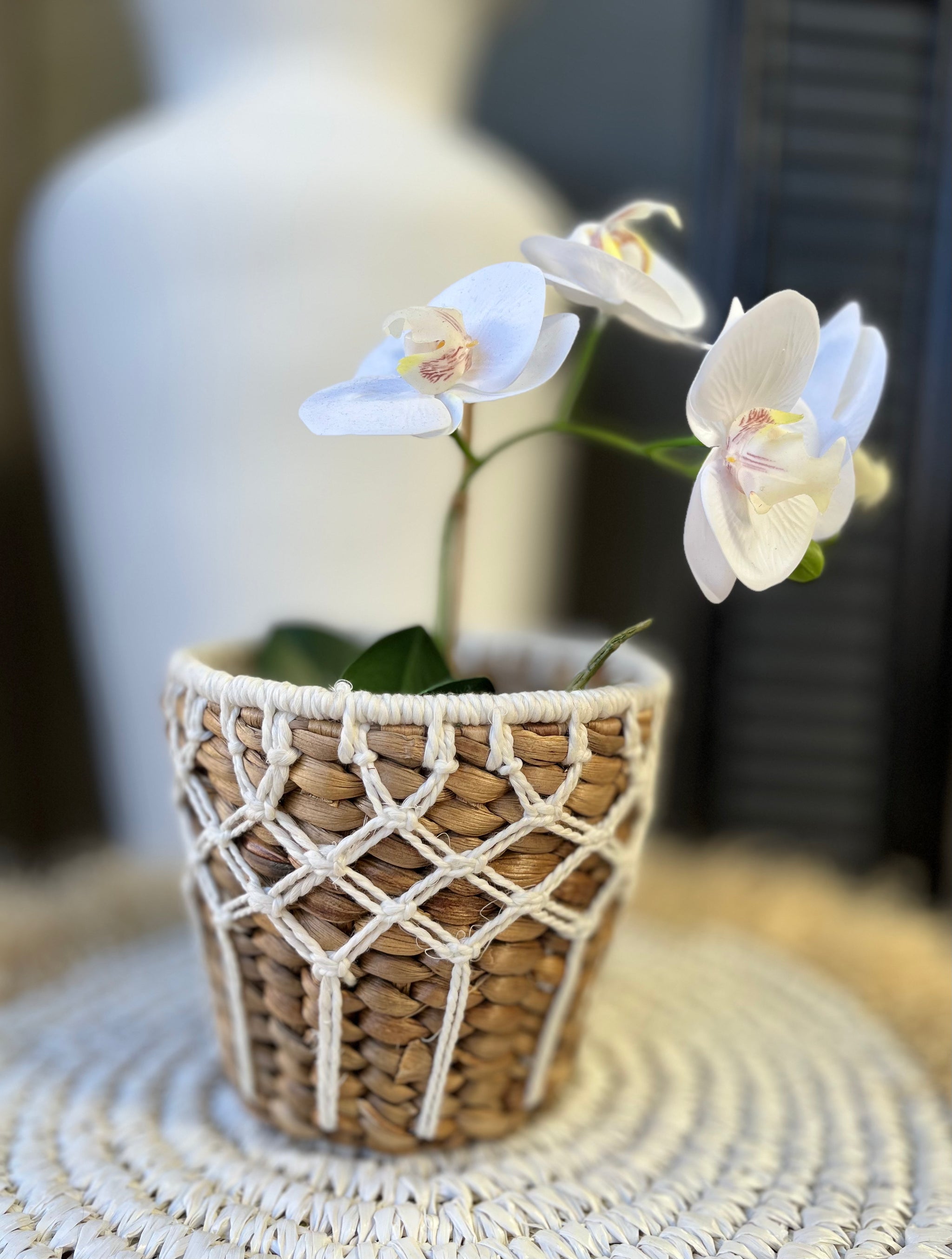 Woven basket - macrame around sides