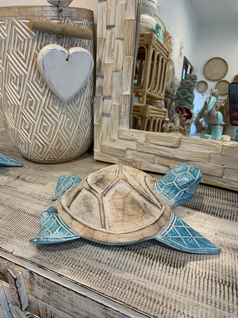 Medium blue timber turtle. – Bali Beach Beyond