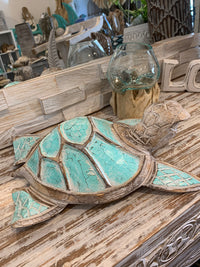 Large turquoise timber turtle.