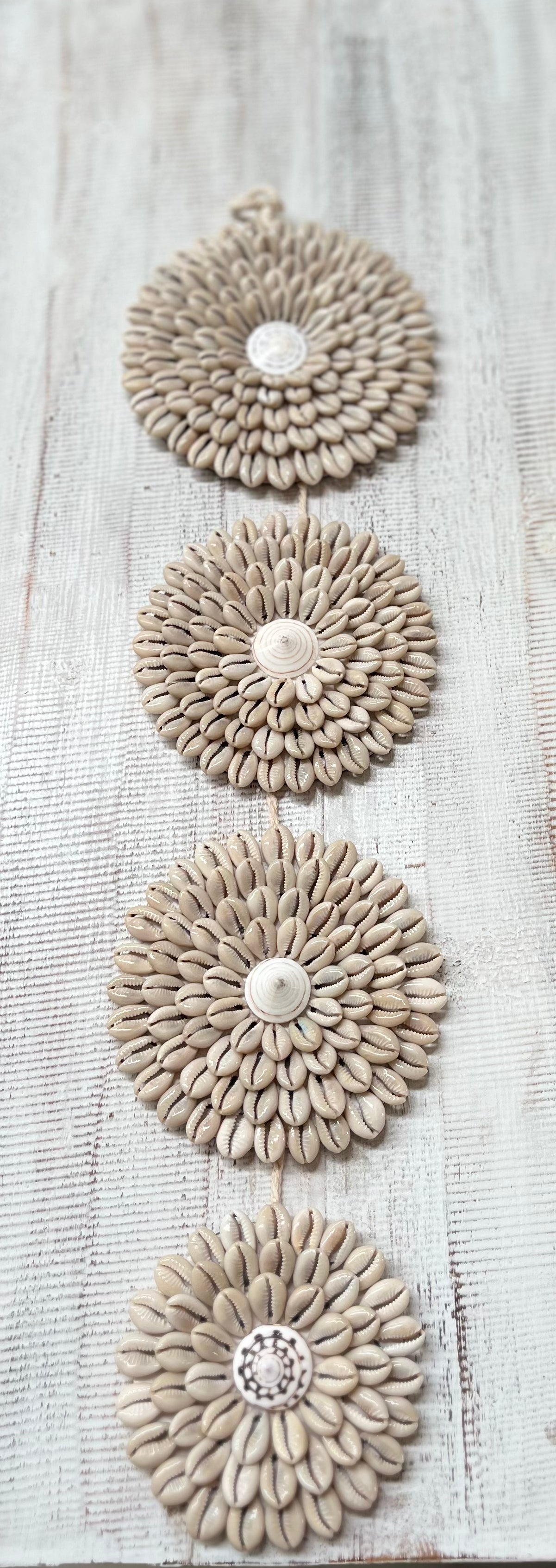 Shell wall hanging. 4 discs