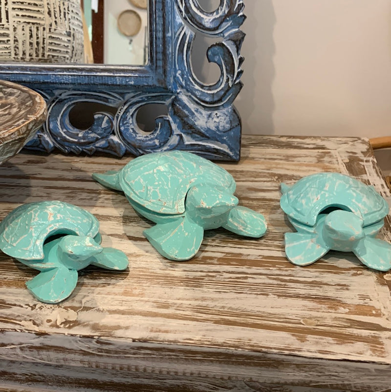 Turquoise timber turtles Set 3