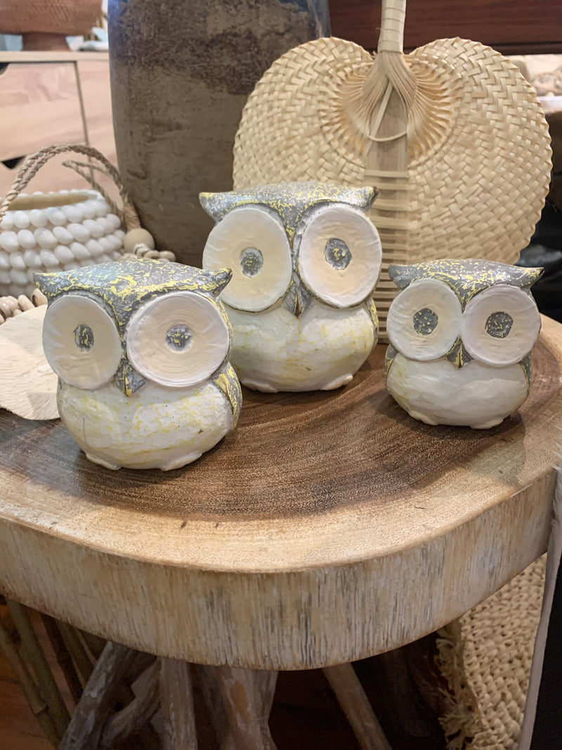 White / yellow timber owls. Set 3