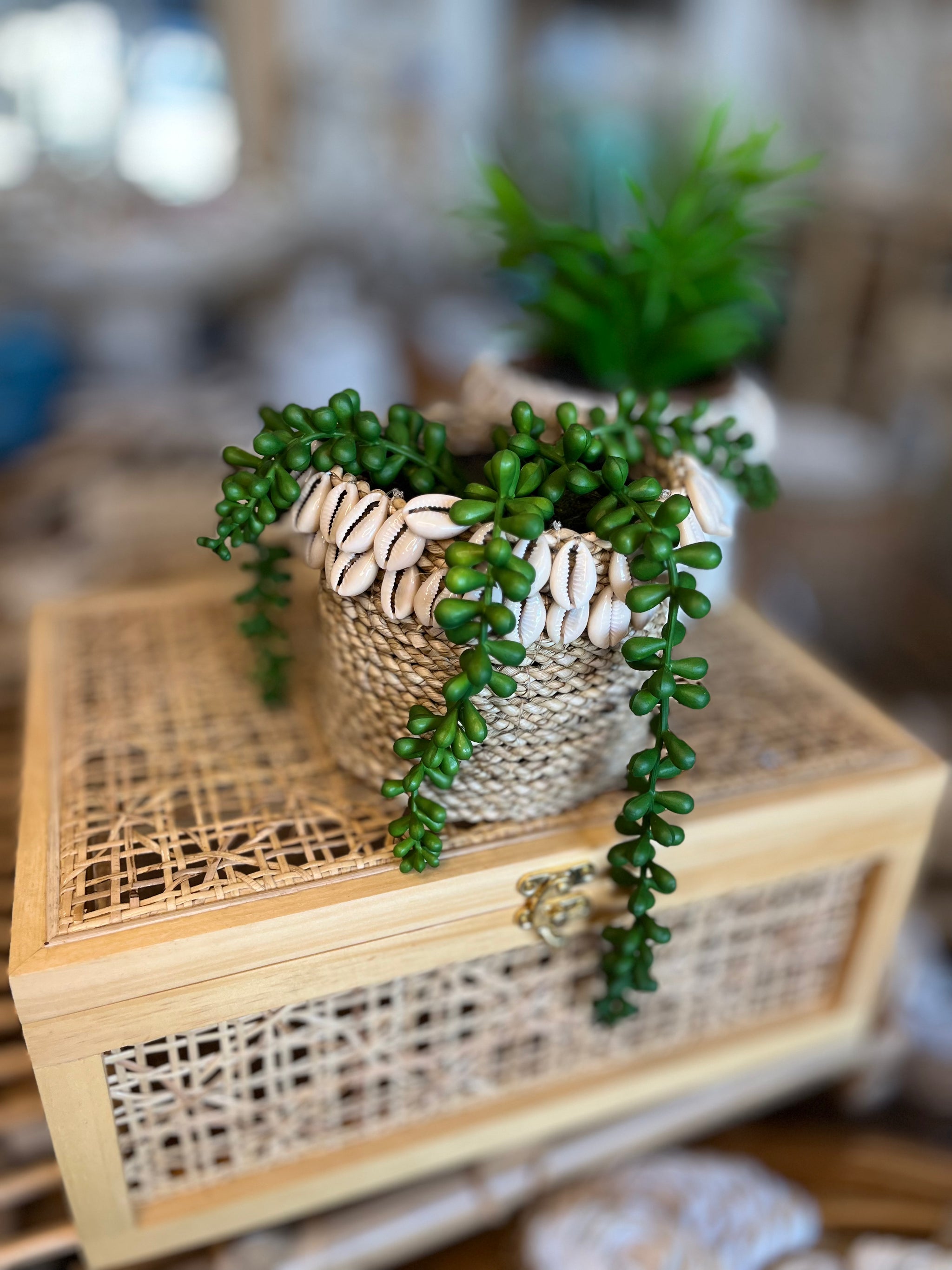 Natural basket with shell detail