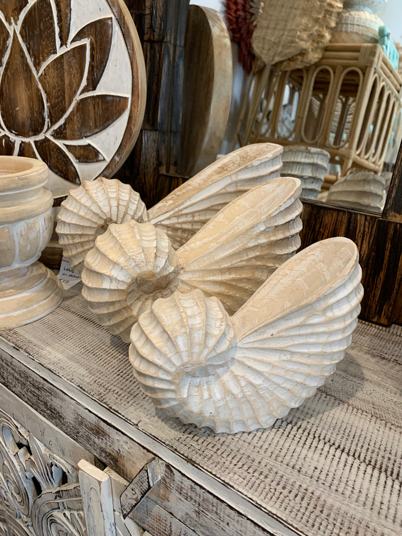 Carved timber shells. Set 3. Natural.