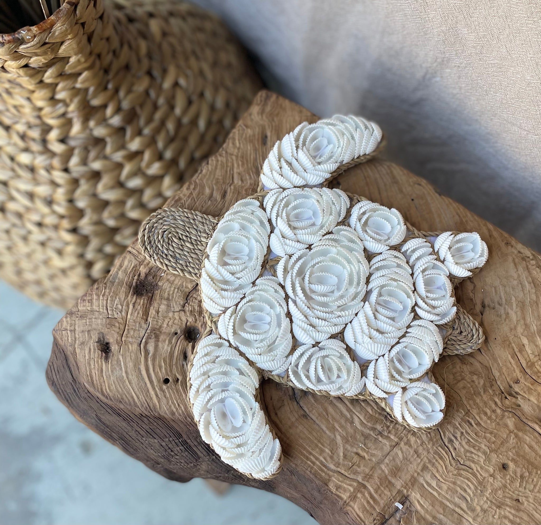 Set 3 shell turtle decorations / hangings - Bali Beach Beyond