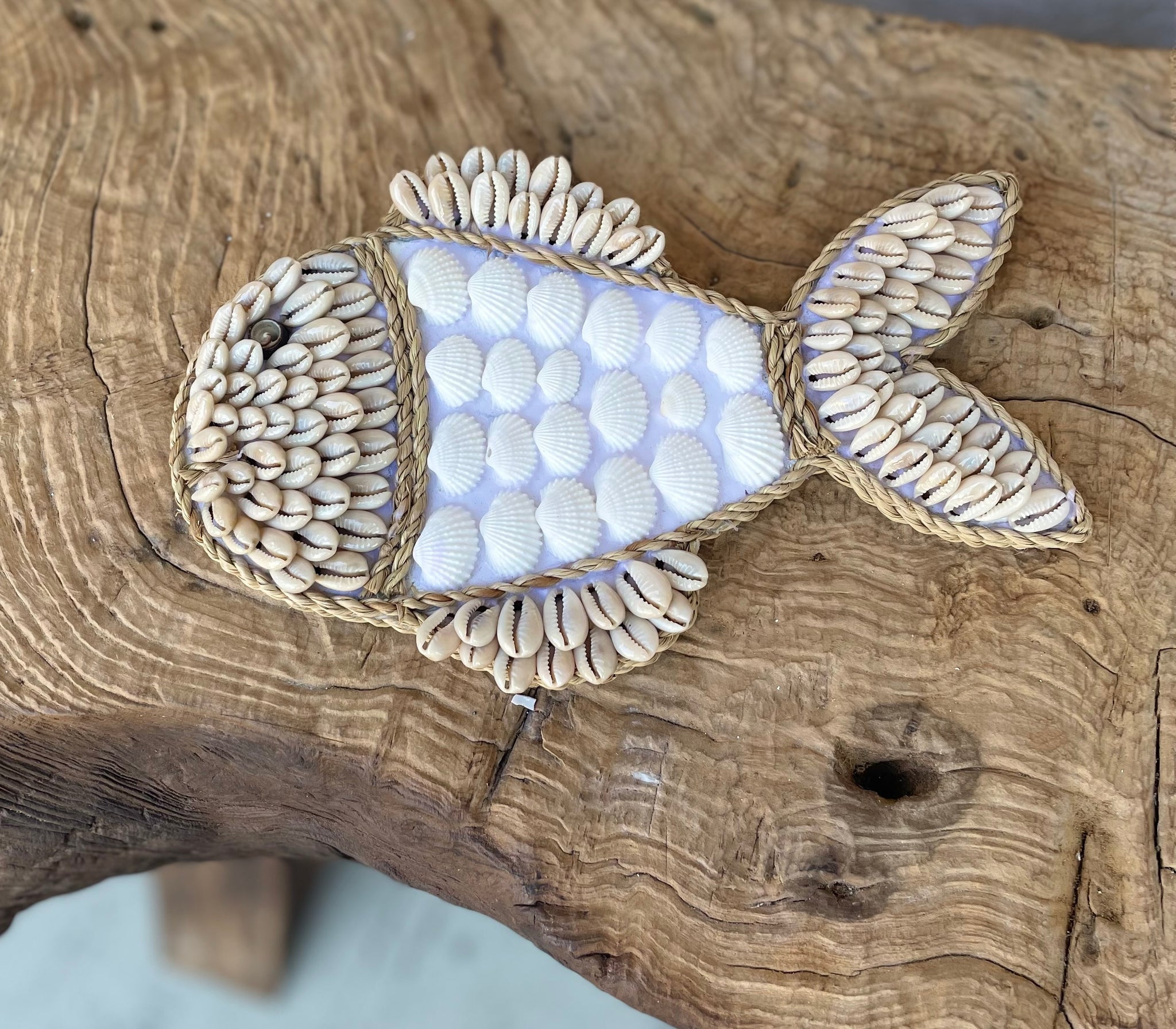 Shell fish hanging / decoration. White and natural. S