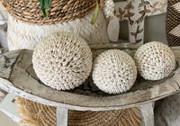 Small shell ball. White shells.  Individual ball.