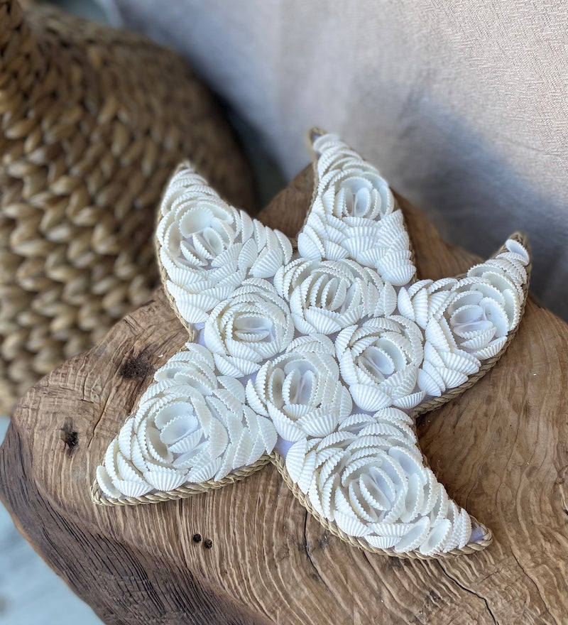 Shell starfish set of 3