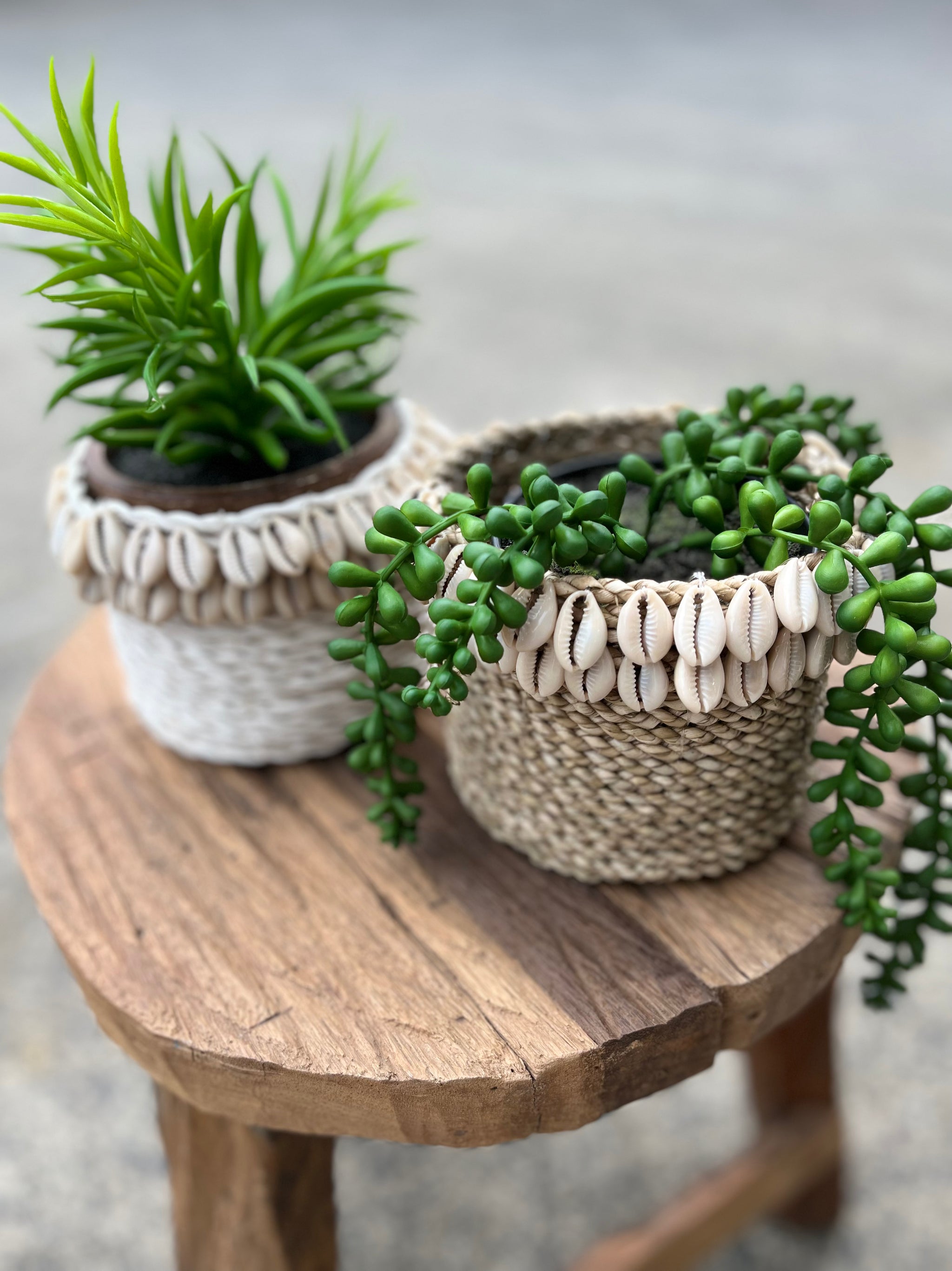 Natural basket with shell detail