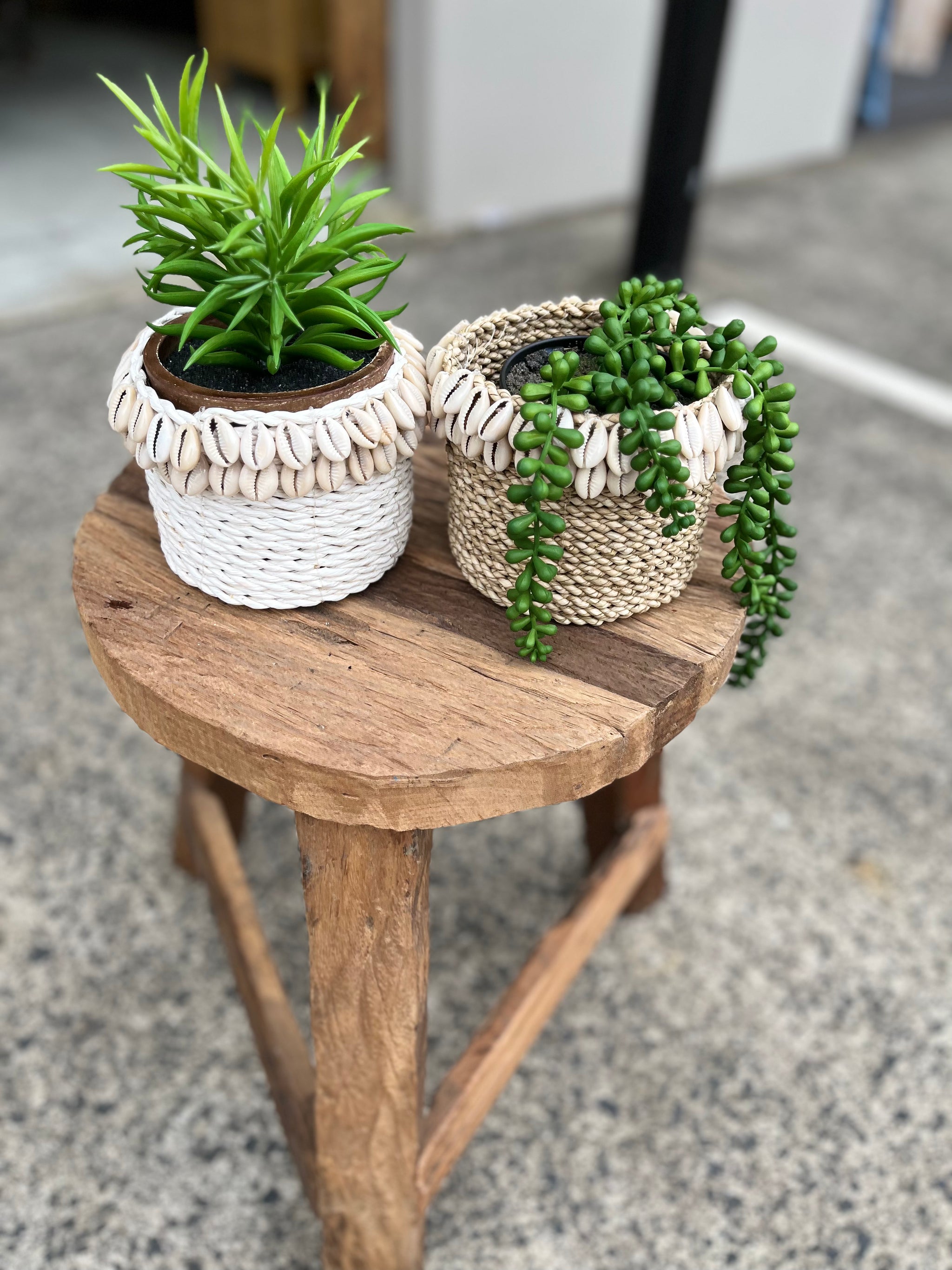 Natural basket with shell detail