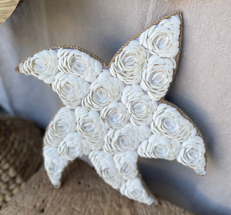 Shell starfish L