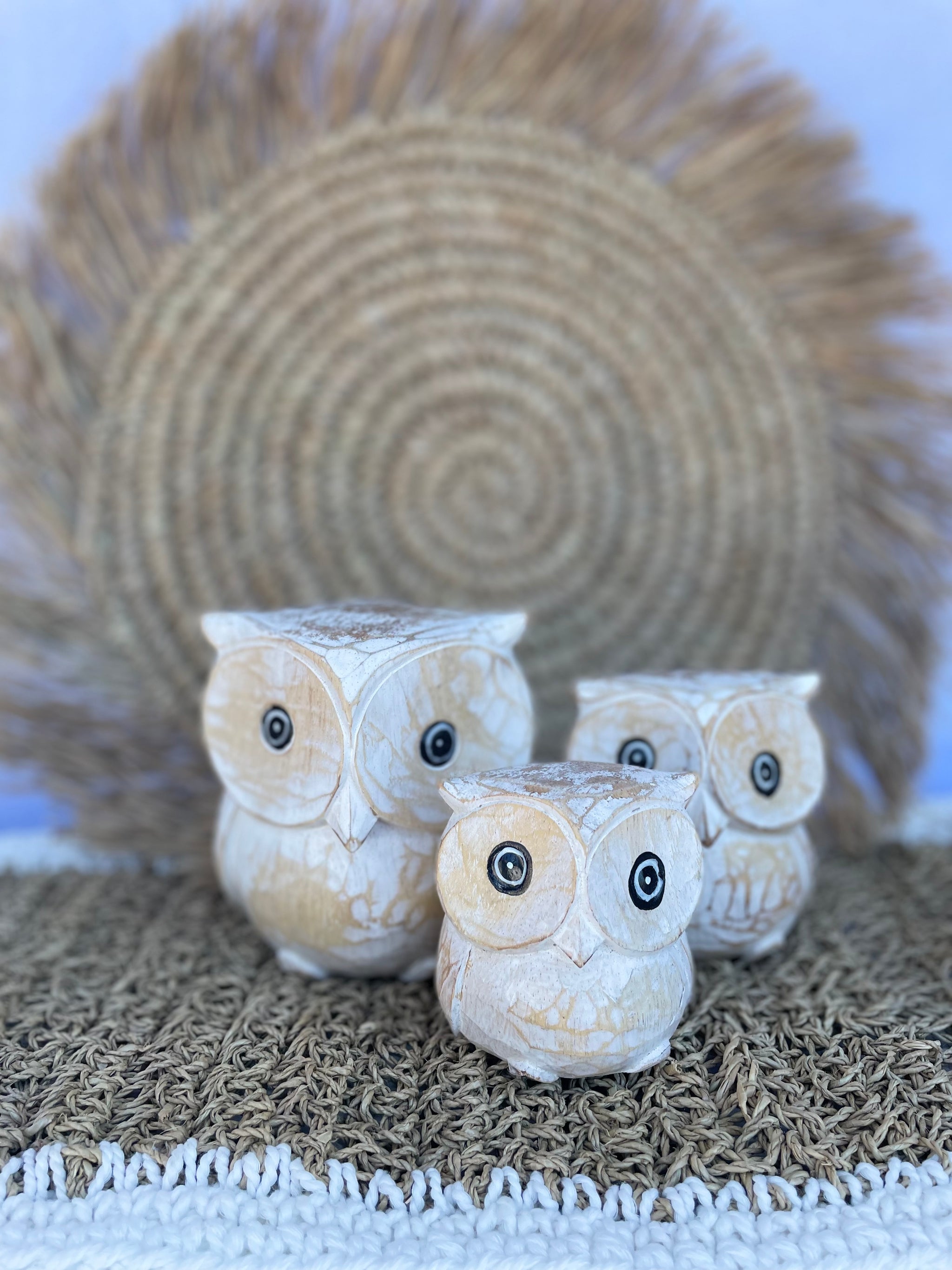 Natural timber owls. Set 3