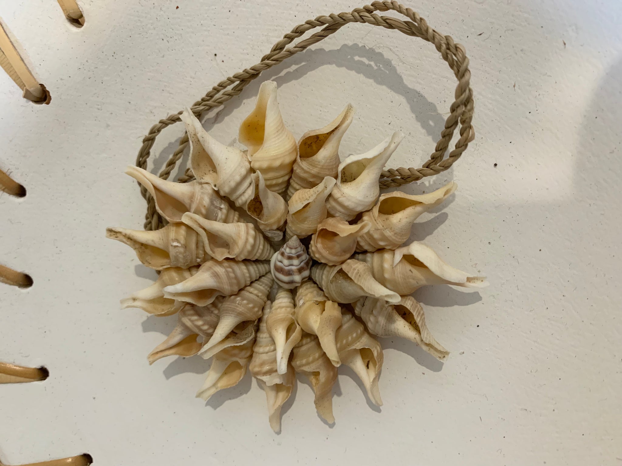 Natural shell decoration. 9cm