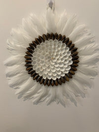 White juju with dark brown shells 30cm