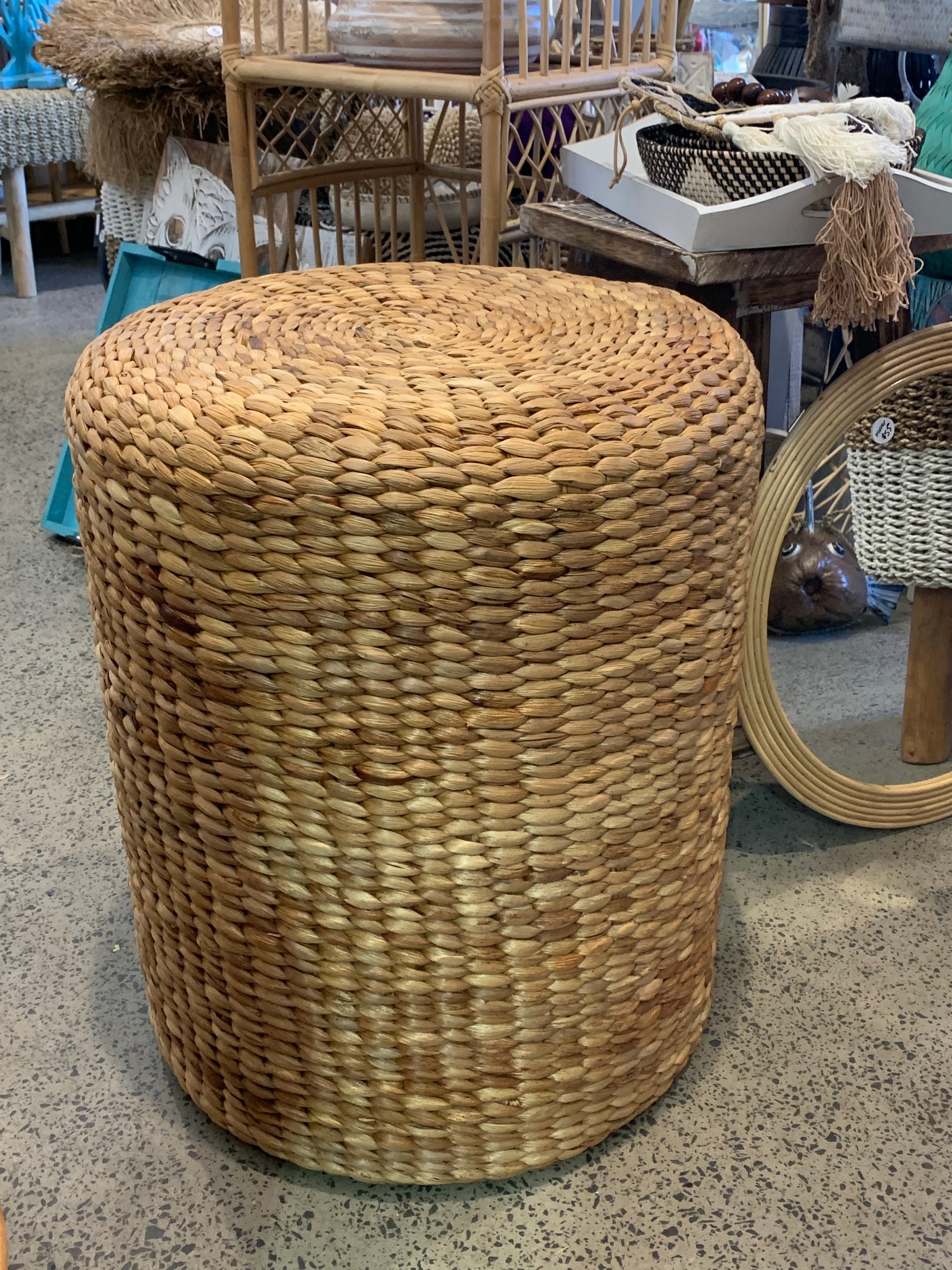 Water hyacinth stool