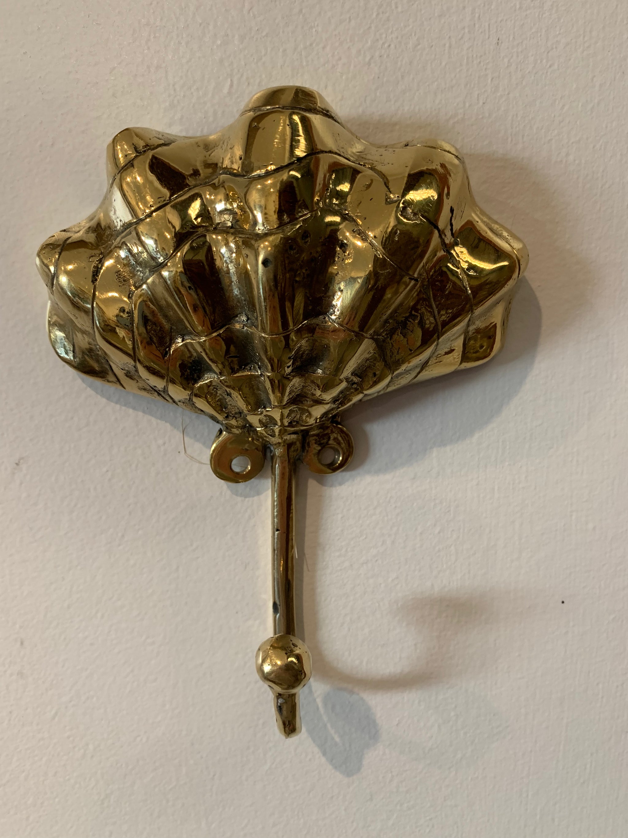 Brass wall hook. Large. Shell / clam