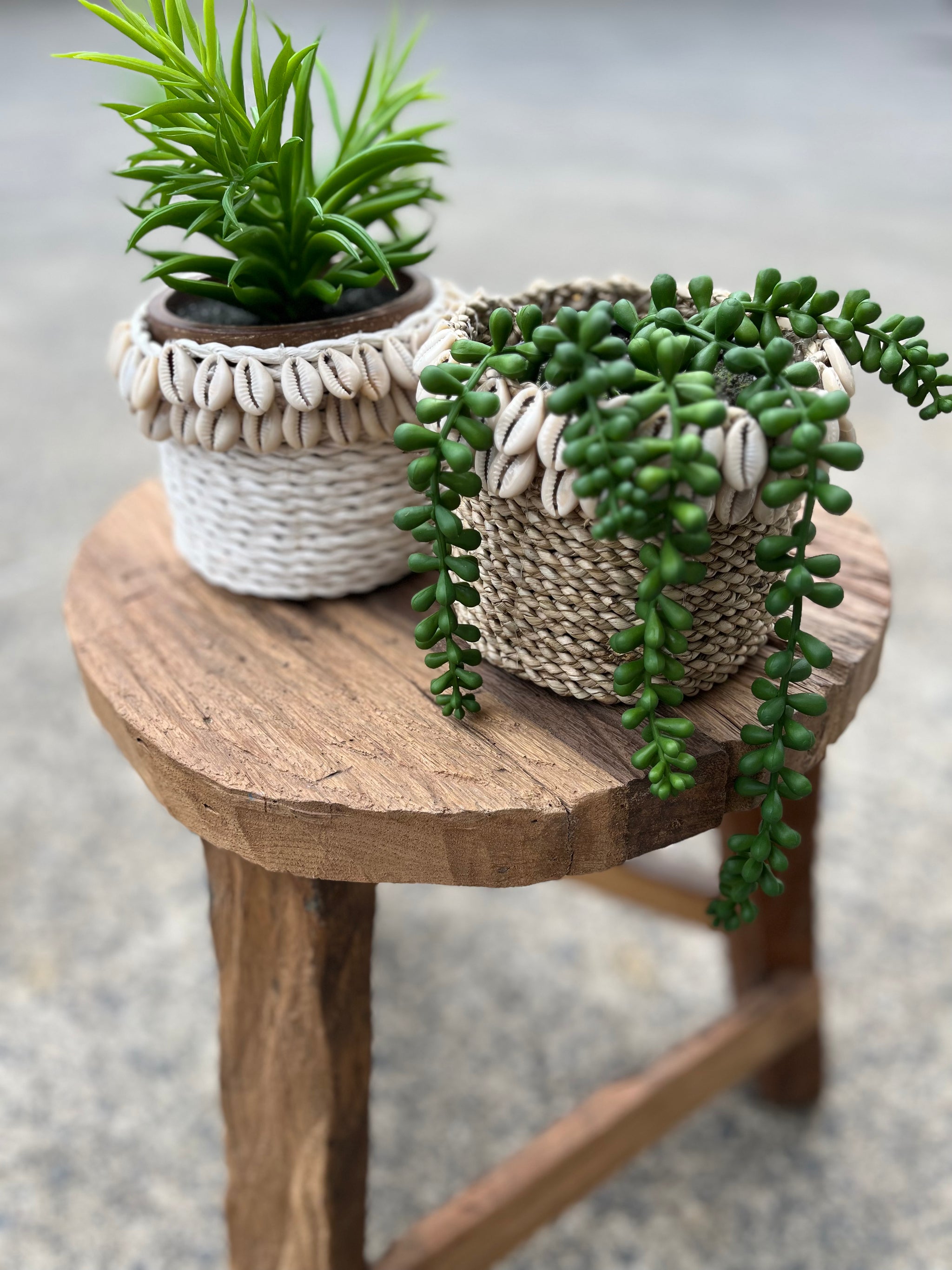 White basket with shell detail