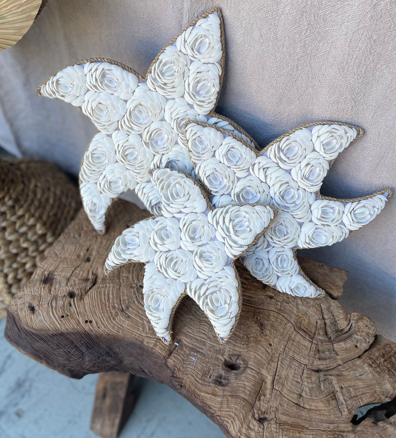 Shell starfish set of 3