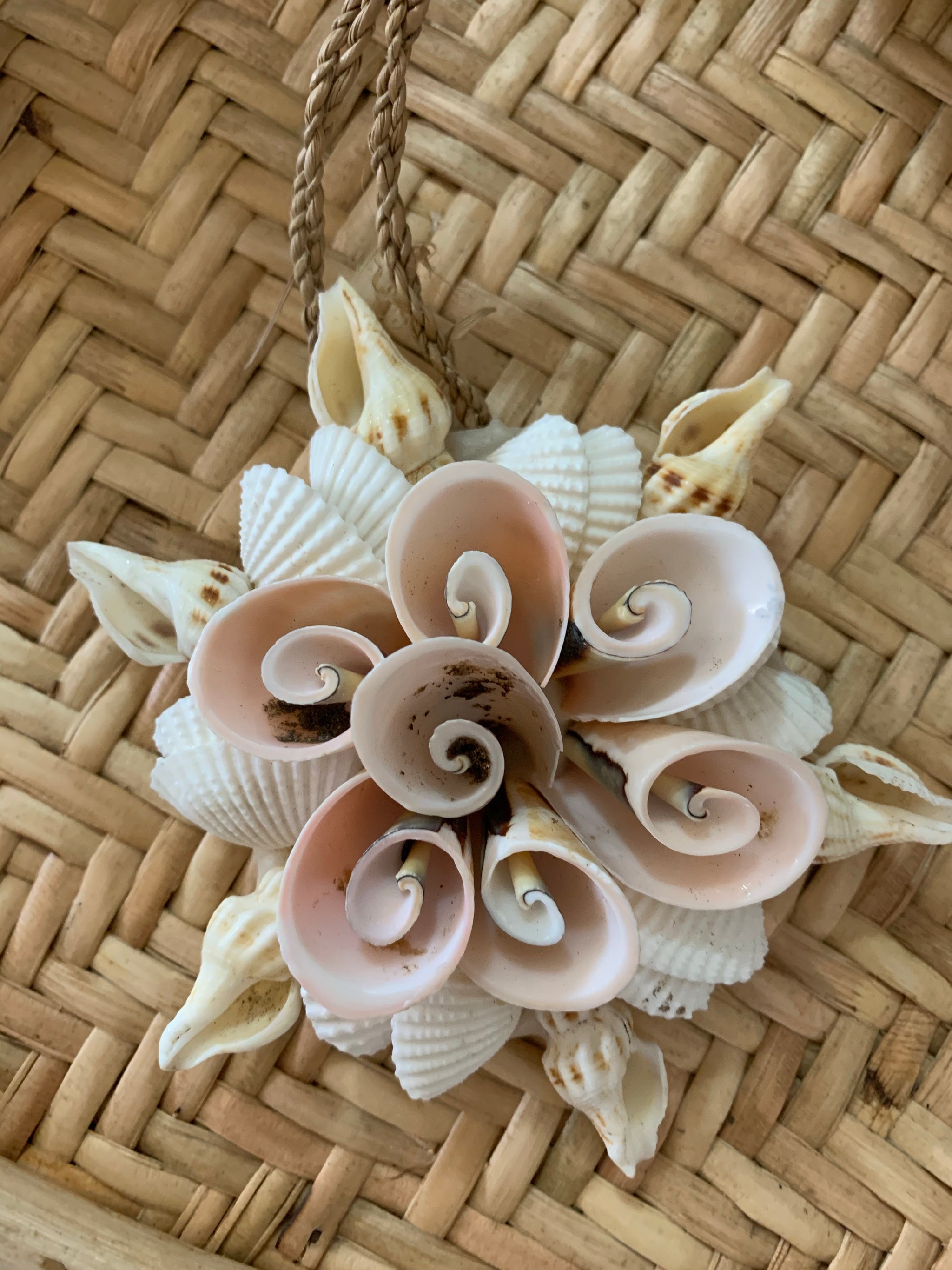 Shell decoration / hanging. 9cm