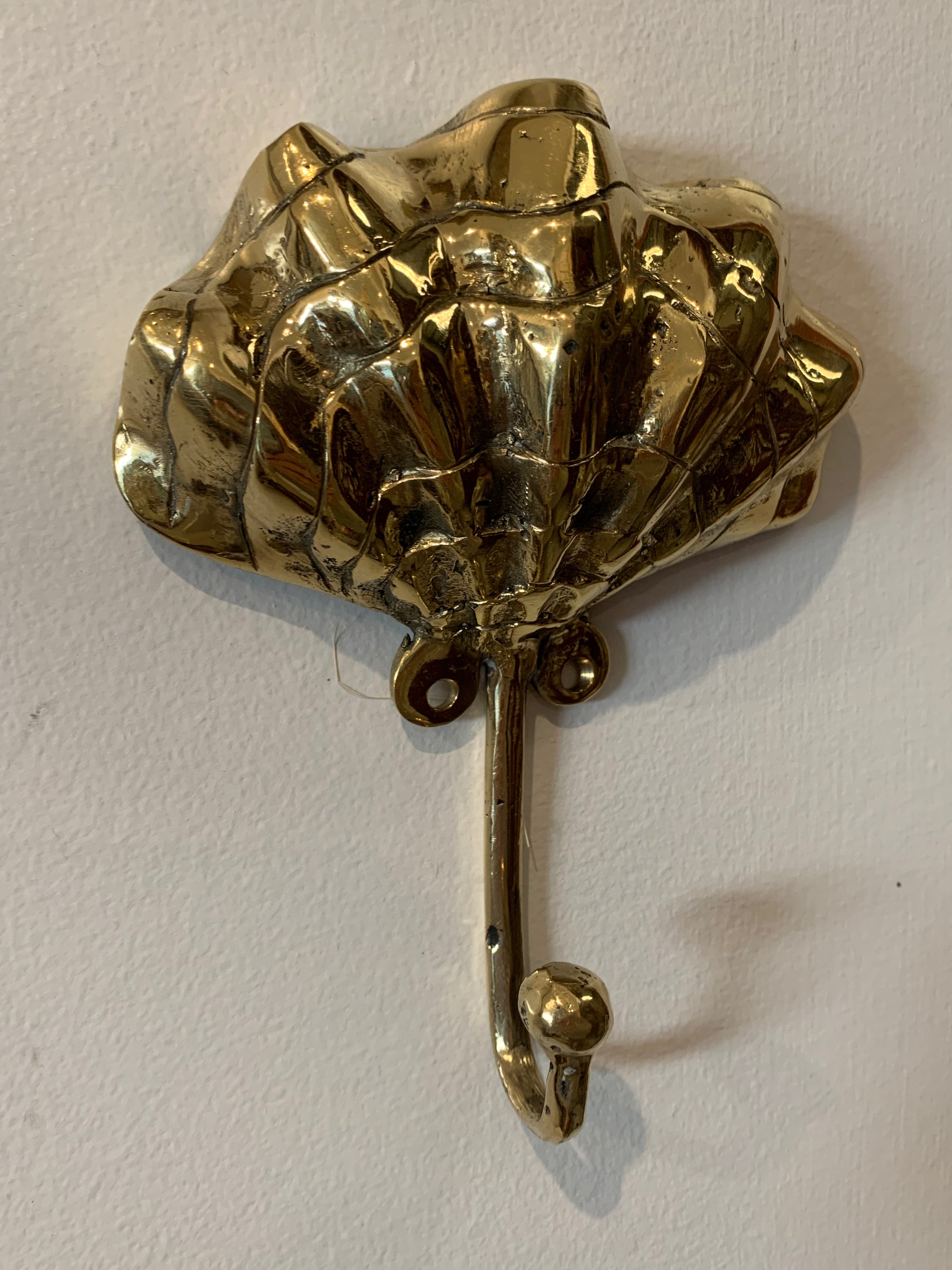 Brass wall hook. Large. Shell / clam