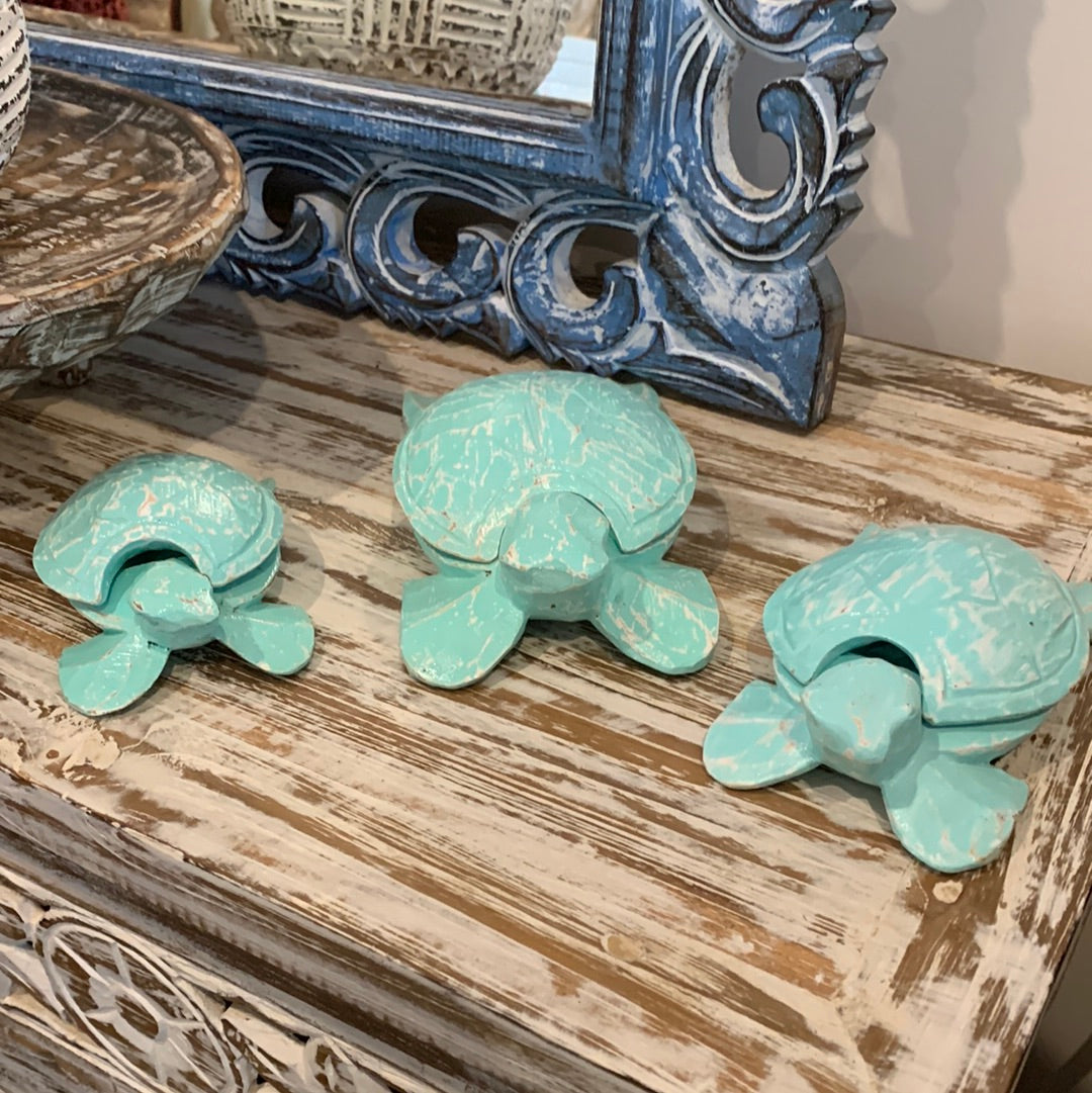 Turquoise timber turtles Set 3