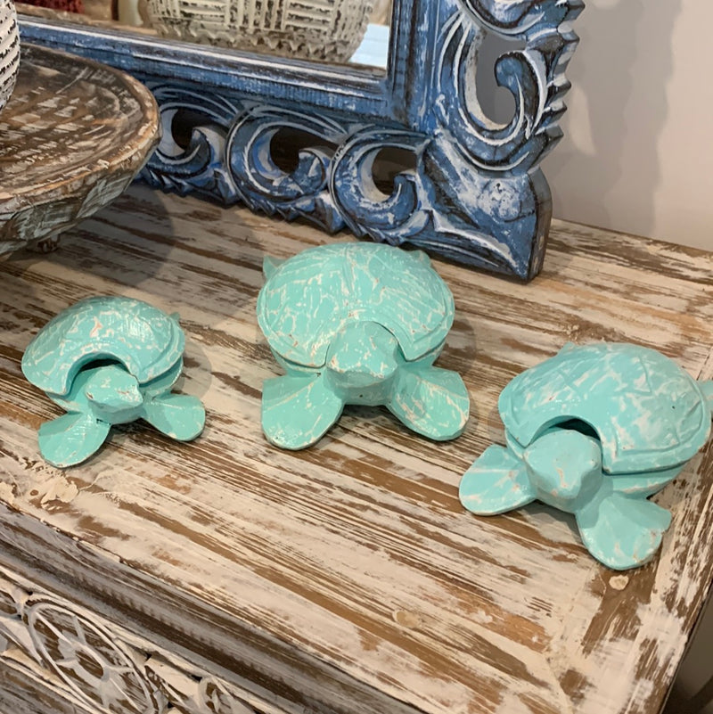 Turquoise timber turtles Set 3