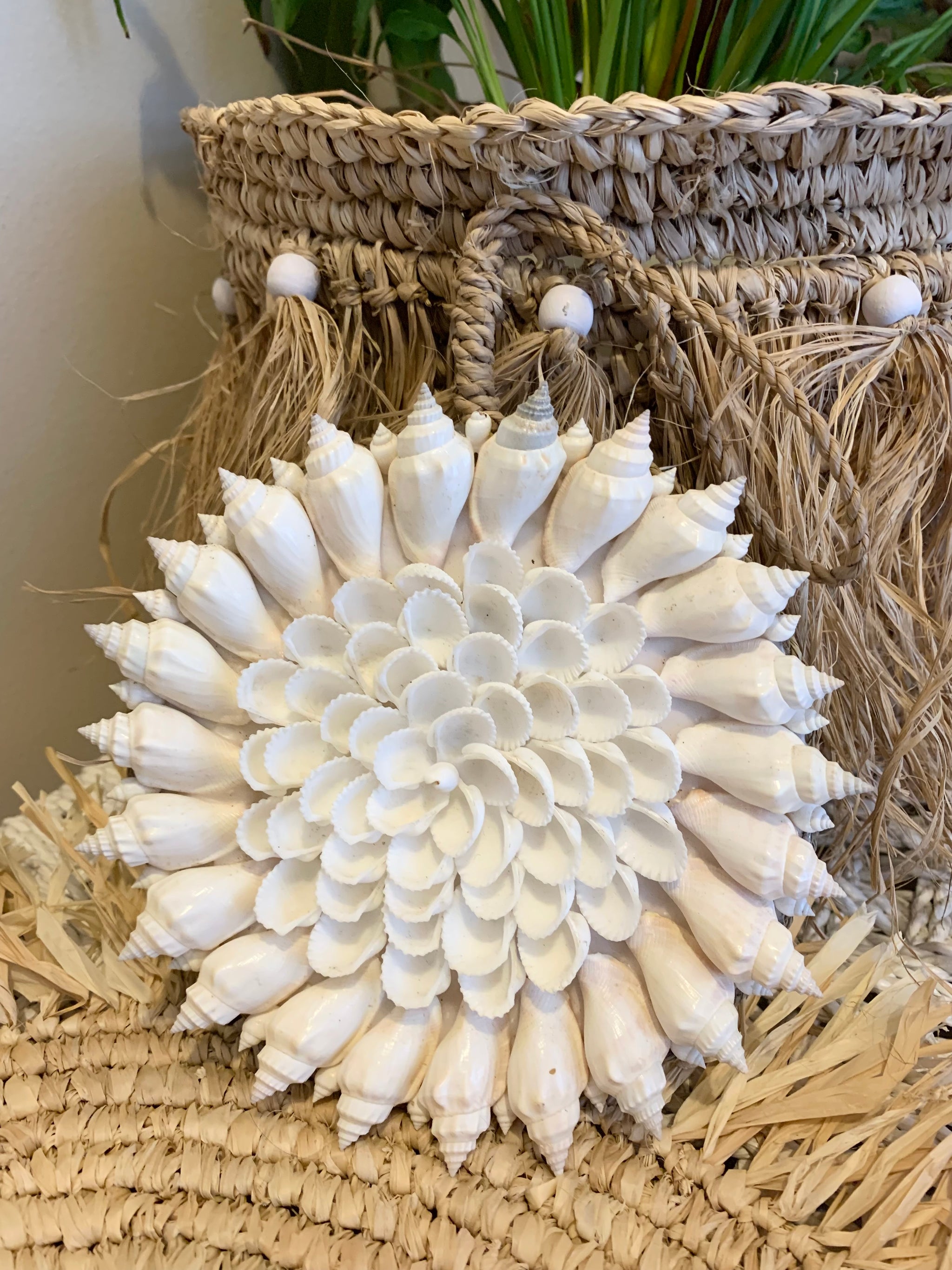 Round shell decoration